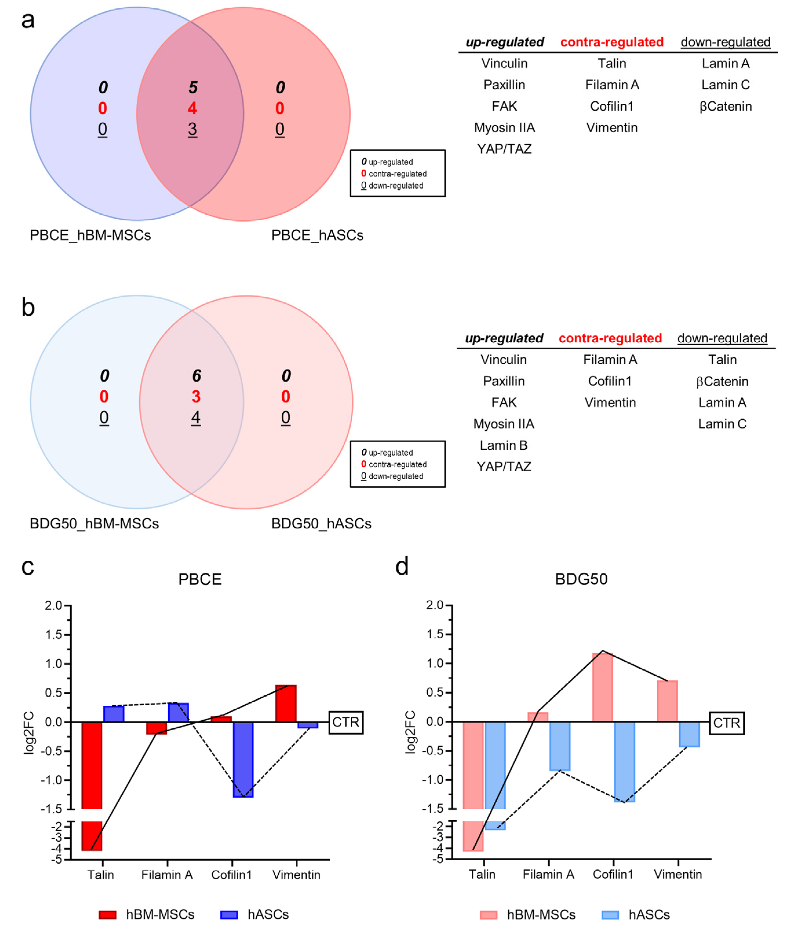 Cells 12 01746 g009 Cells 12 01746 g009