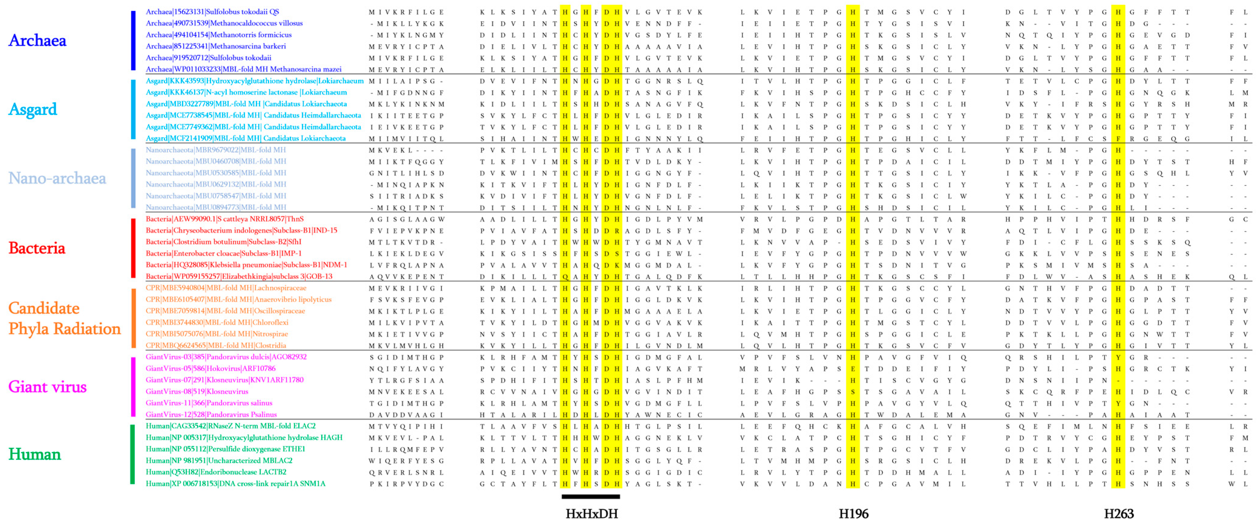 Cells 12 01752 g002 Cells 12 01752 g002