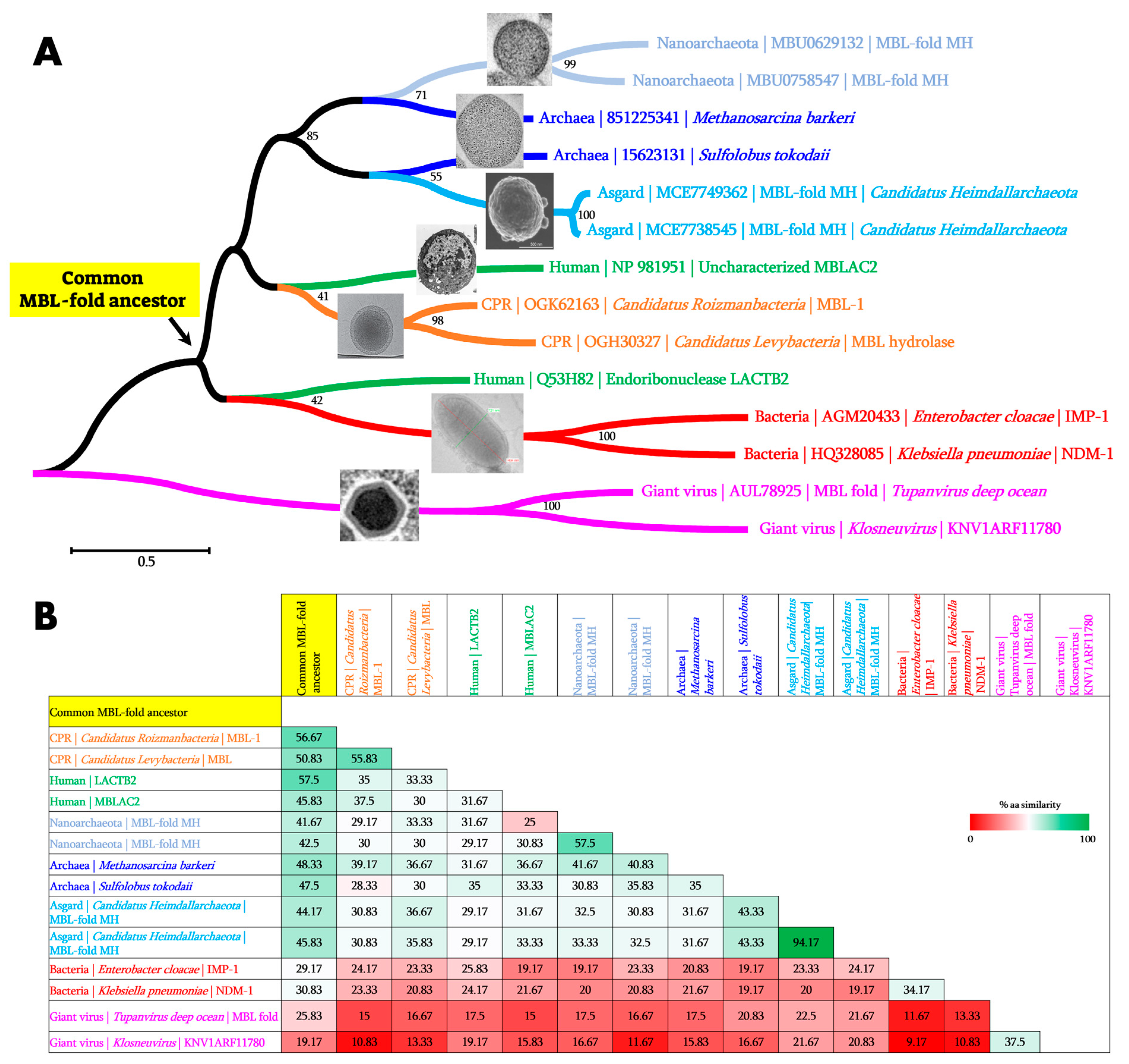Cells 12 01752 g003 Cells 12 01752 g003