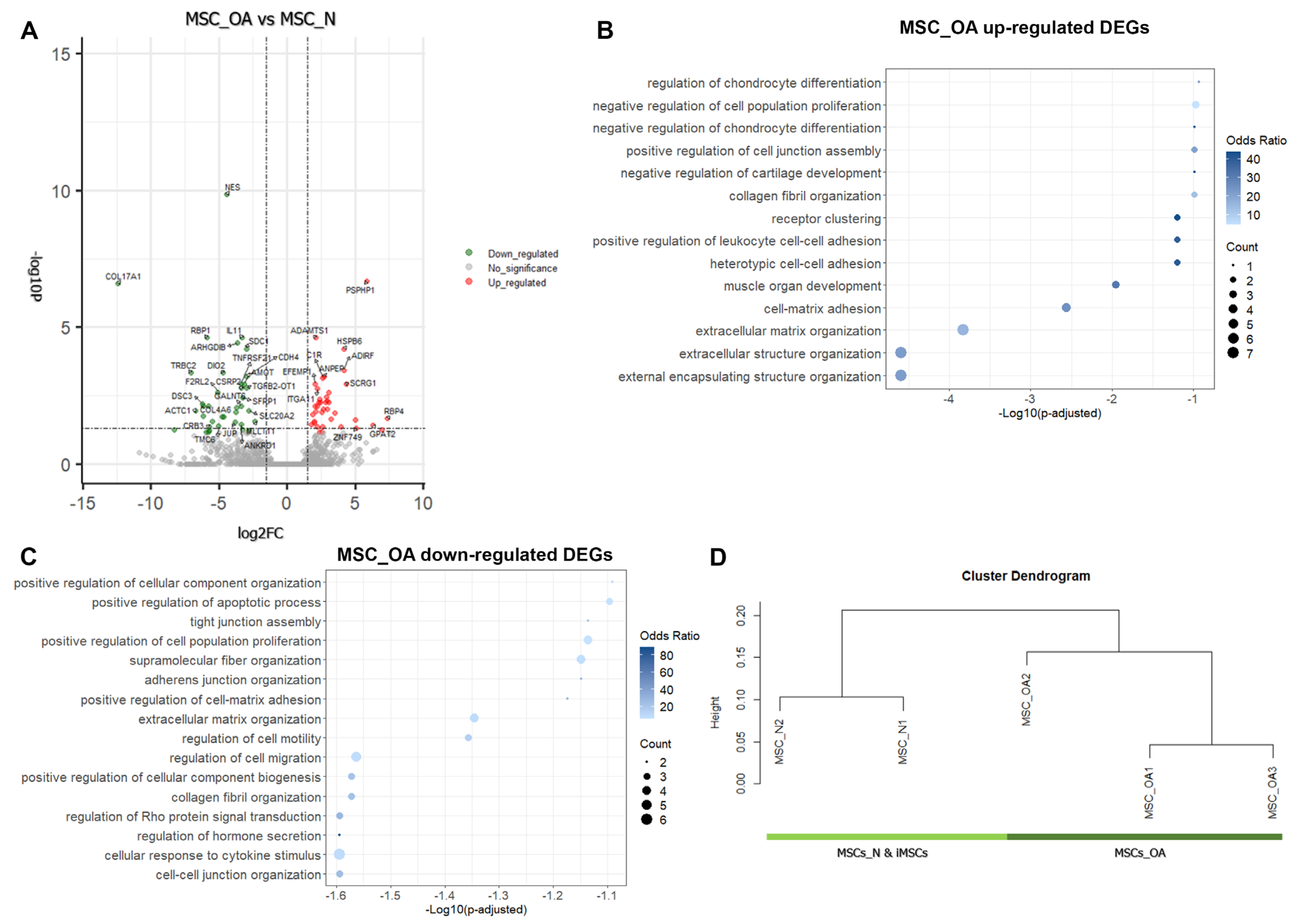 Cells 12 01756 g002 Cells 12 01756 g002