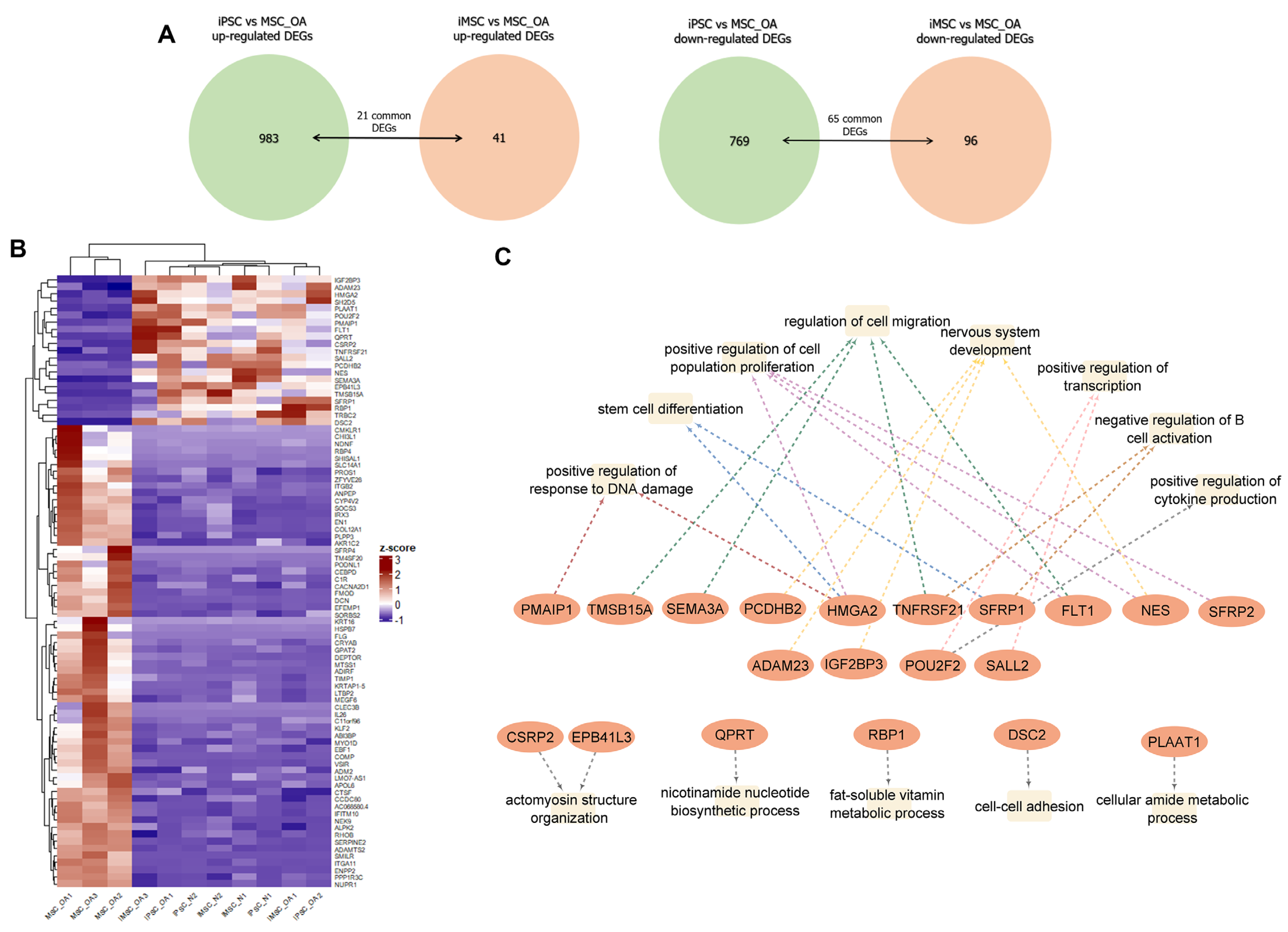 Cells 12 01756 g007 Cells 12 01756 g007