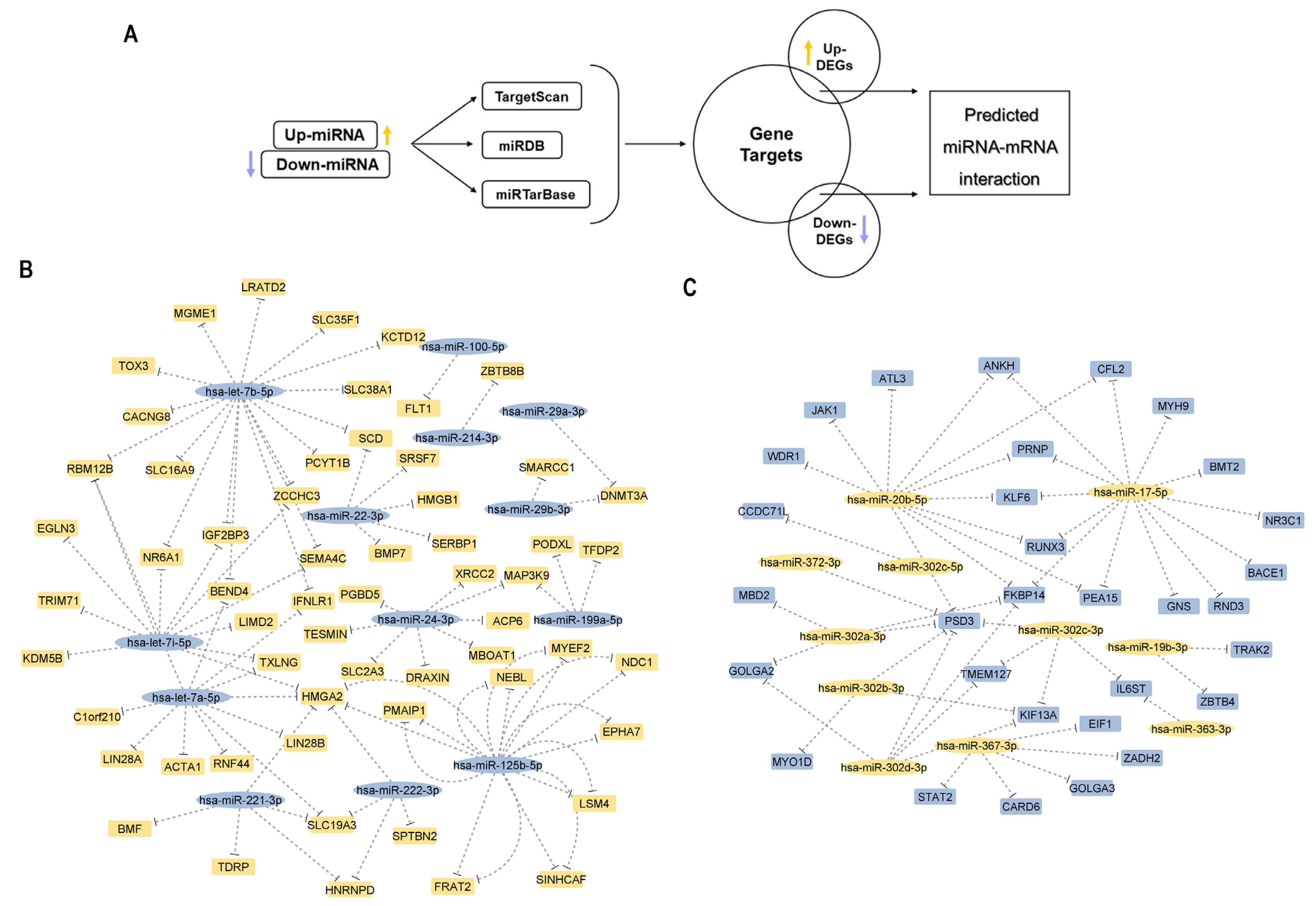 Cells 12 01756 g008 Cells 12 01756 g008