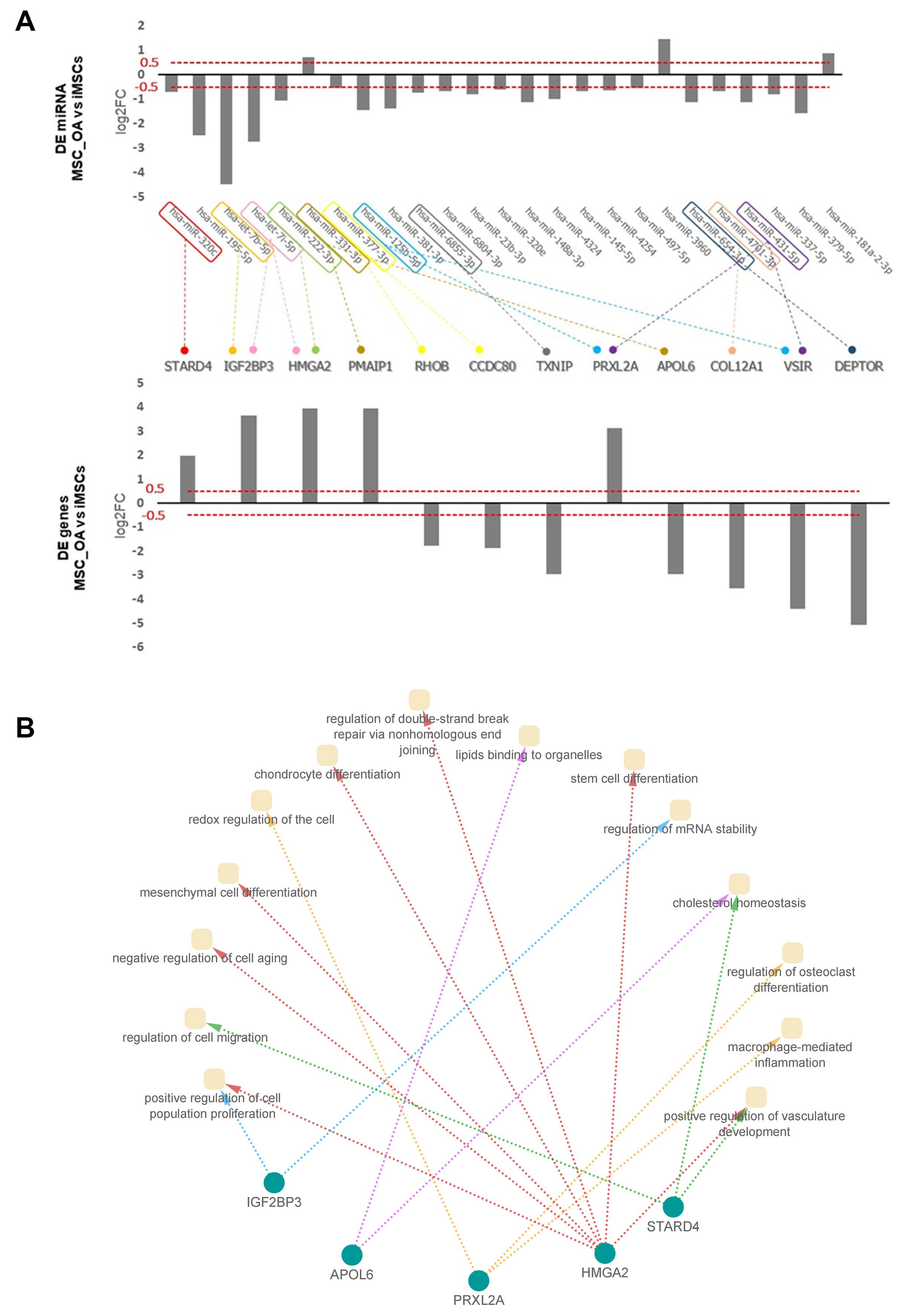 Cells 12 01756 g009 Cells 12 01756 g009