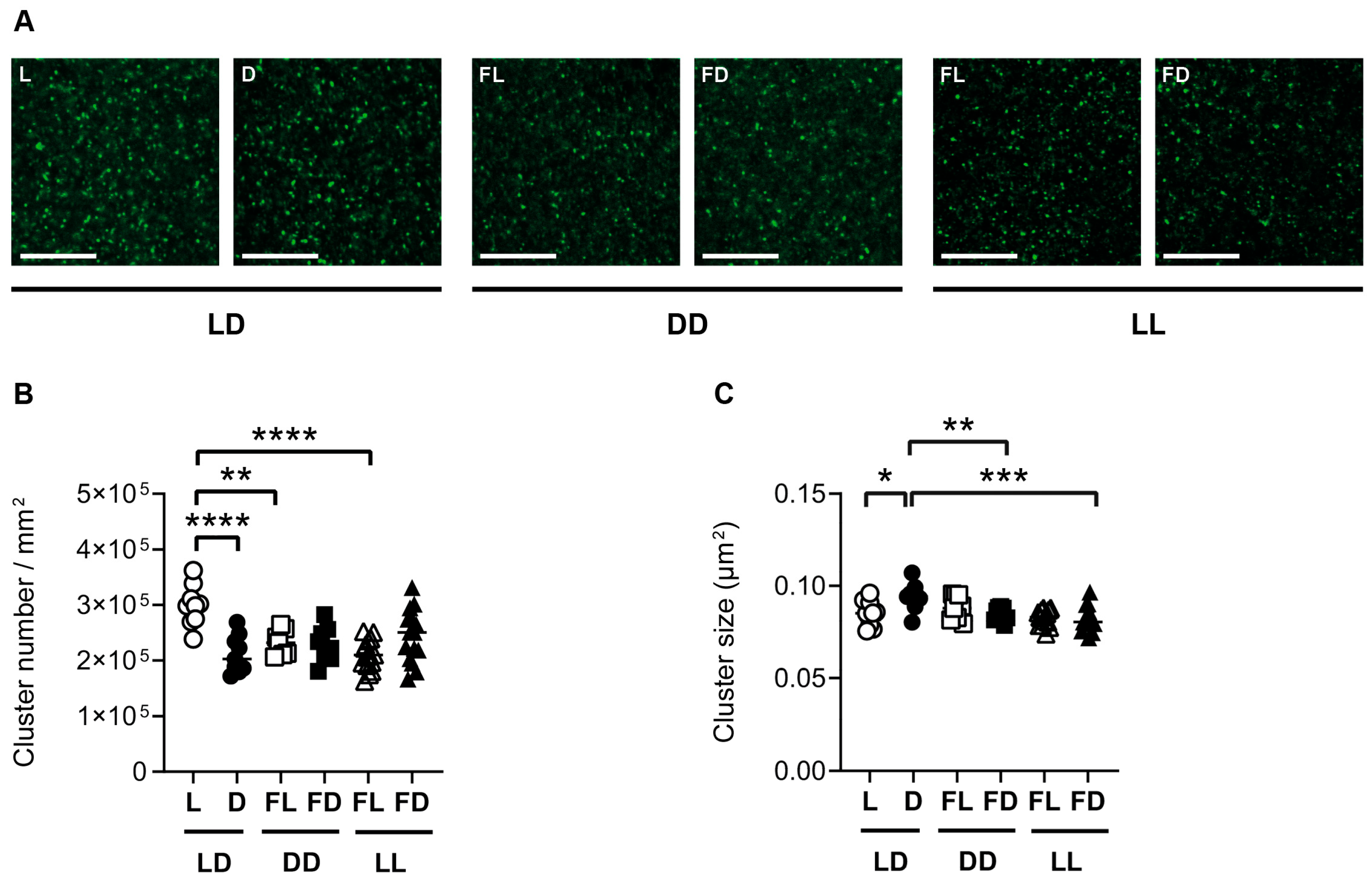 Cells 12 01758 g004 Cells 12 01758 g004