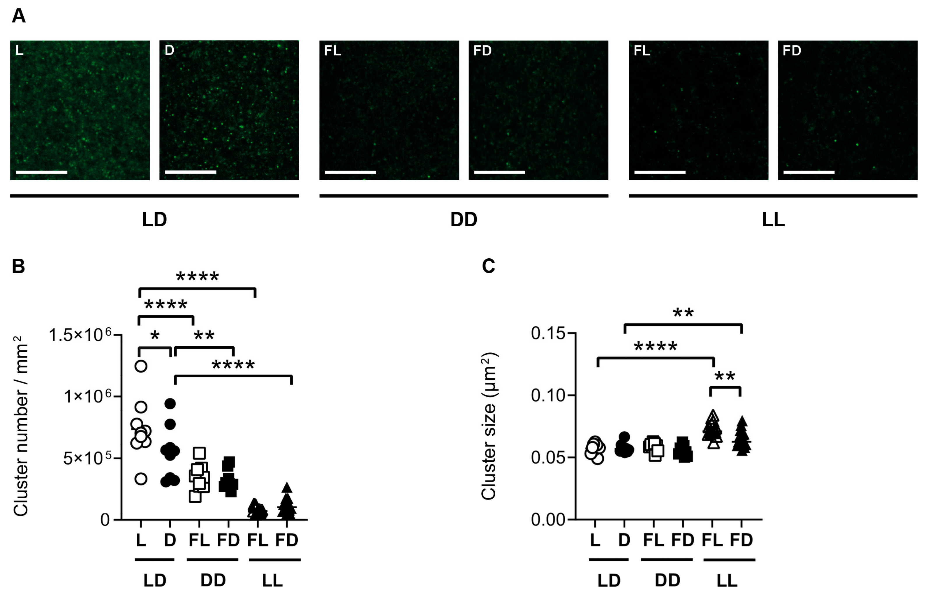 Cells 12 01758 g005 Cells 12 01758 g005