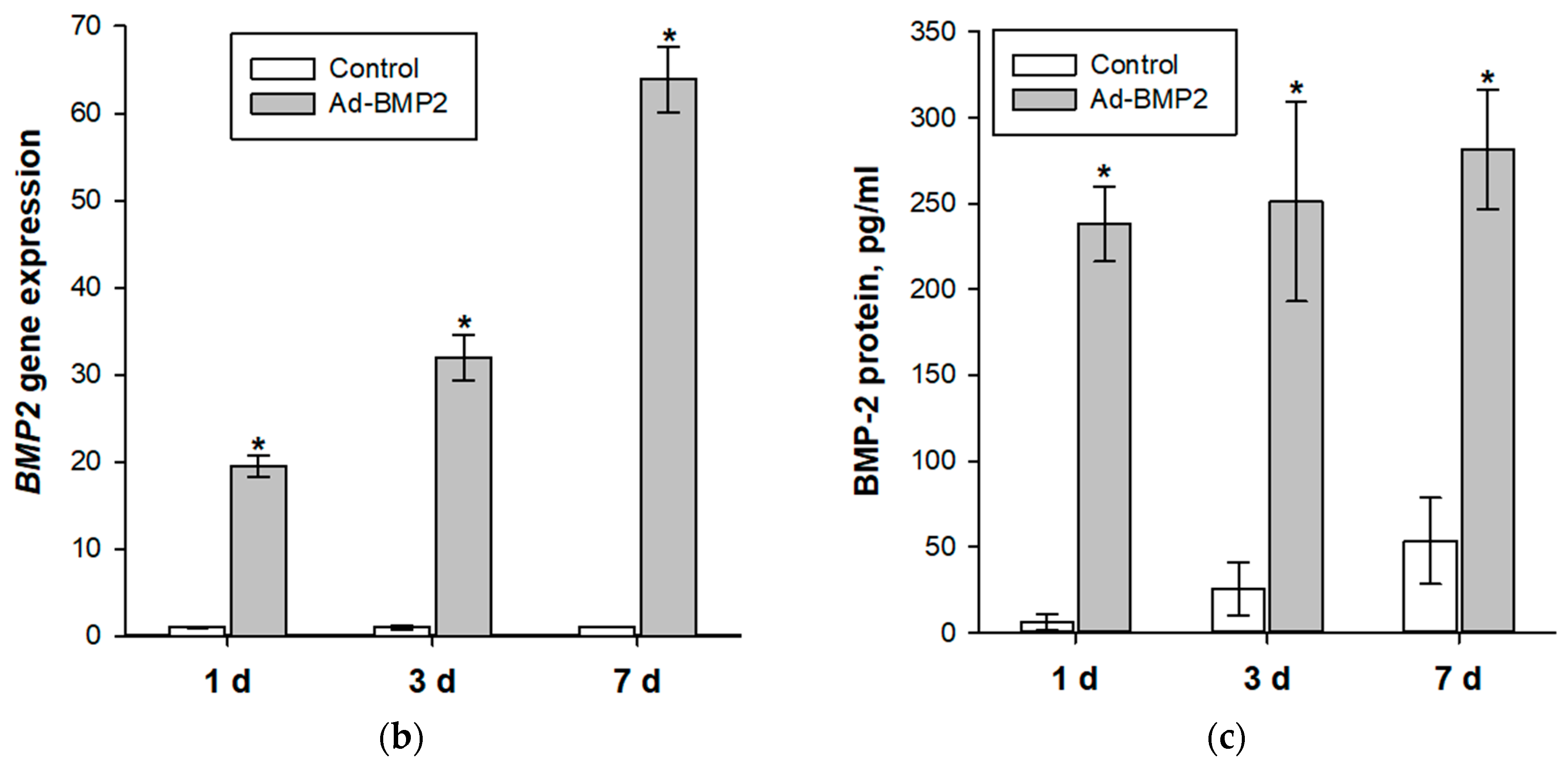 Cells 12 01762 g003b Cells 12 01762 g003b