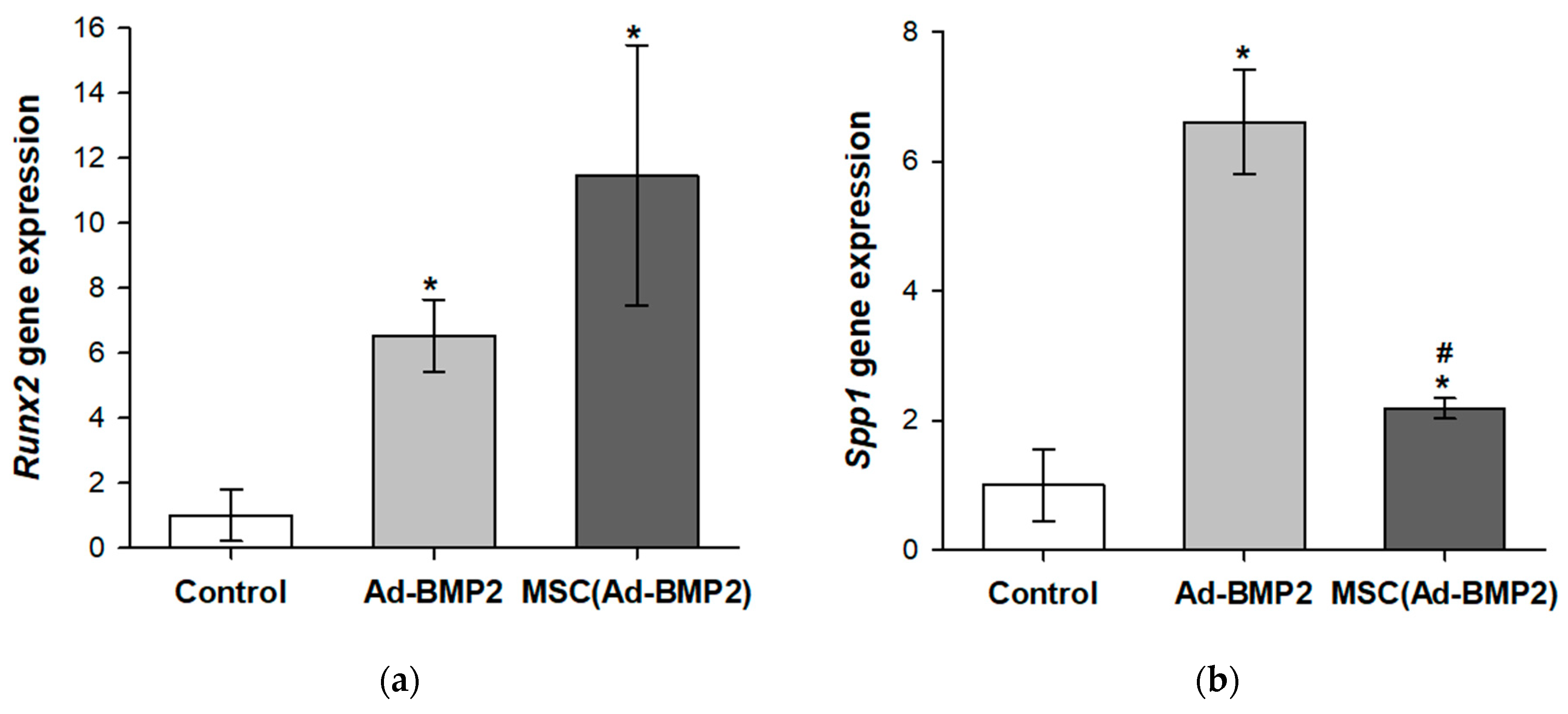 Cells 12 01762 g004a Cells 12 01762 g004a