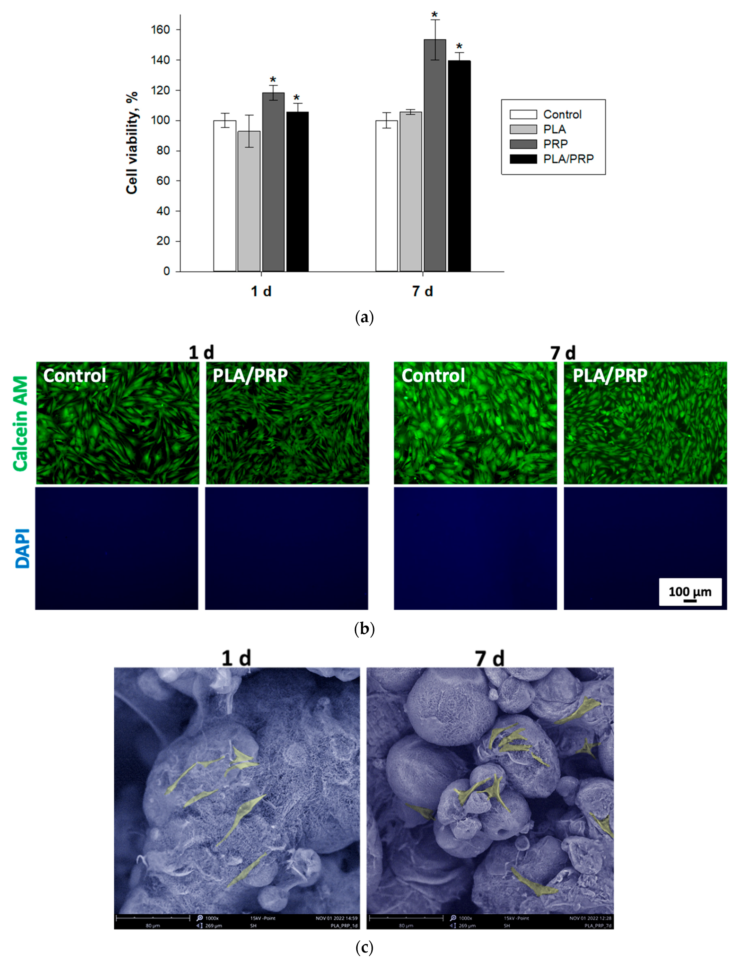 Cells 12 01762 g005 Cells 12 01762 g005