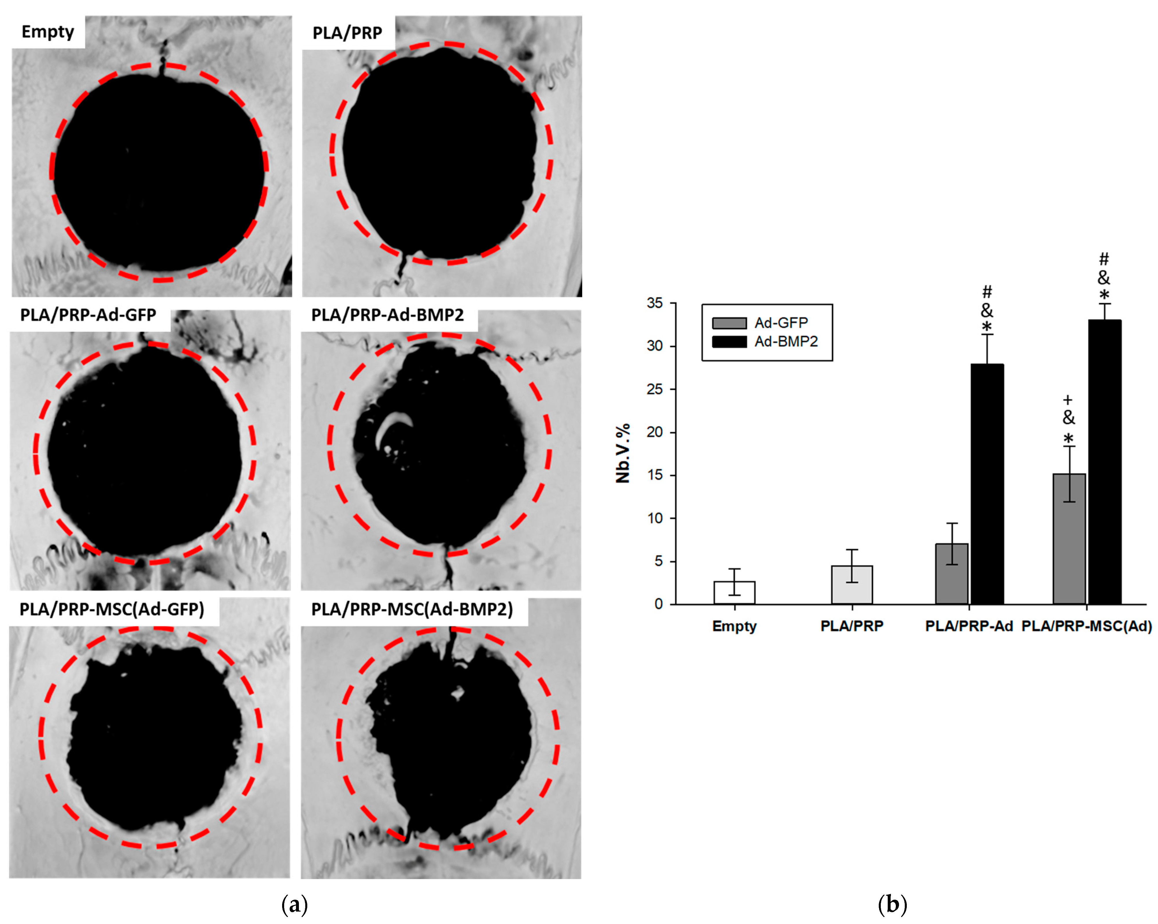 Cells 12 01762 g008 Cells 12 01762 g008