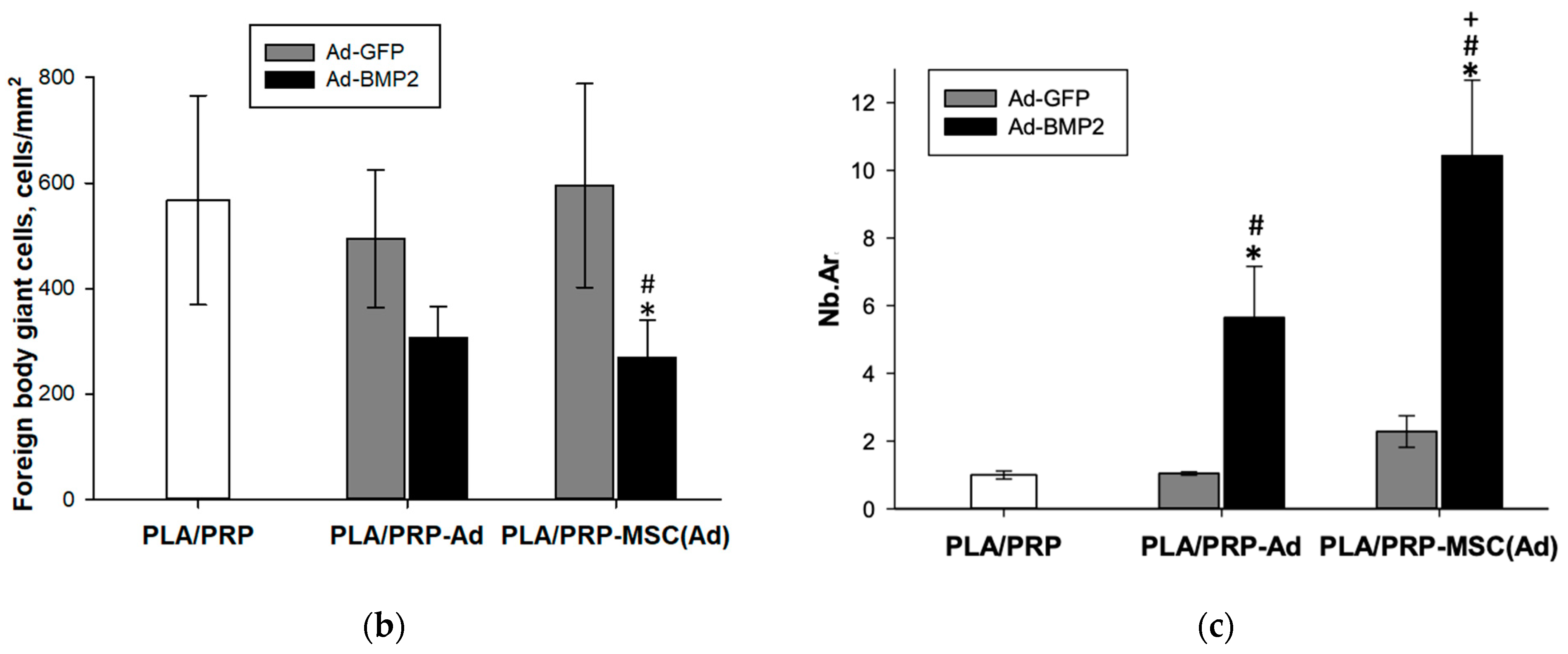 Cells 12 01762 g009b Cells 12 01762 g009b