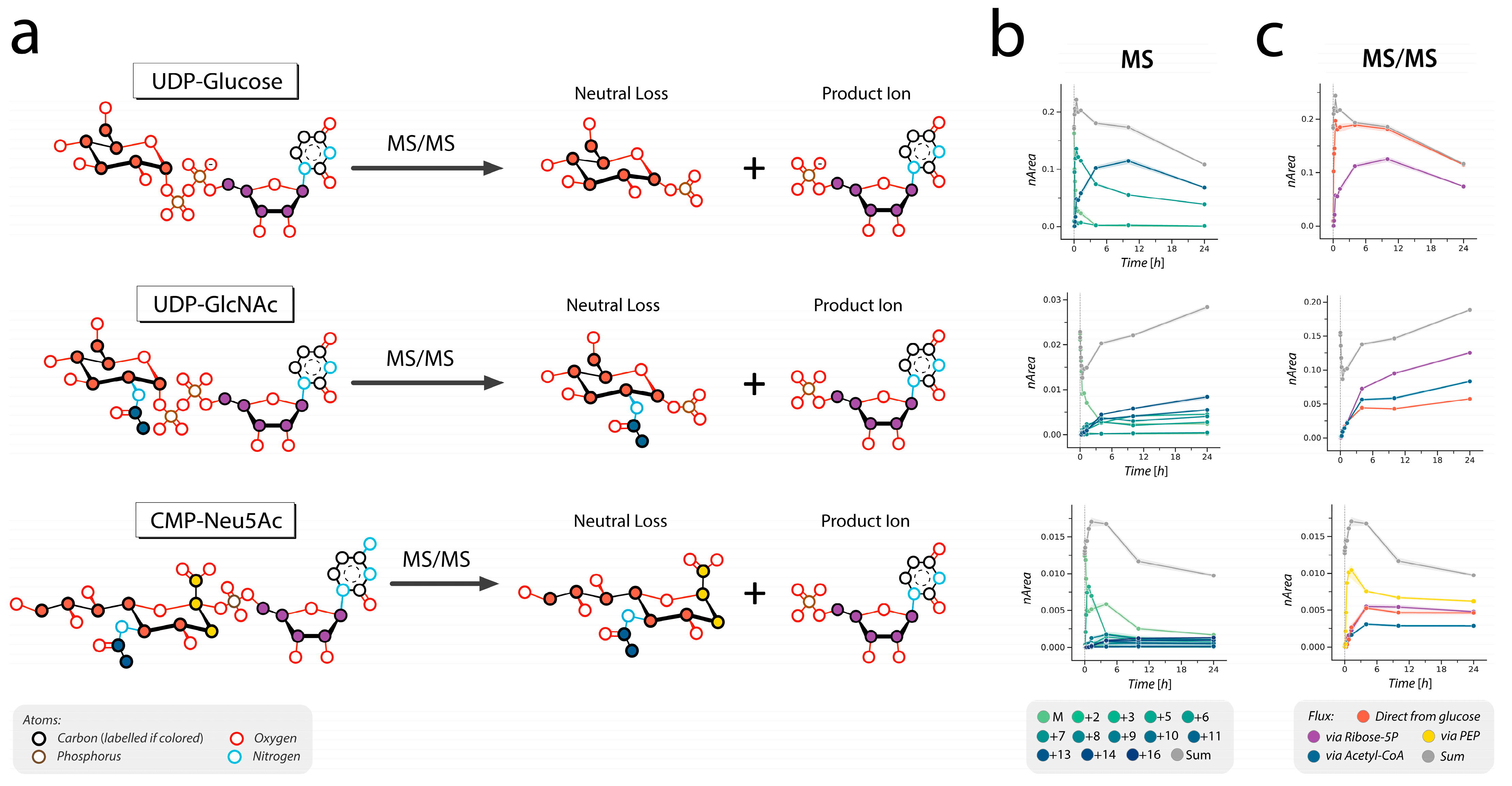 Cells 12 01765 g003 Cells 12 01765 g003
