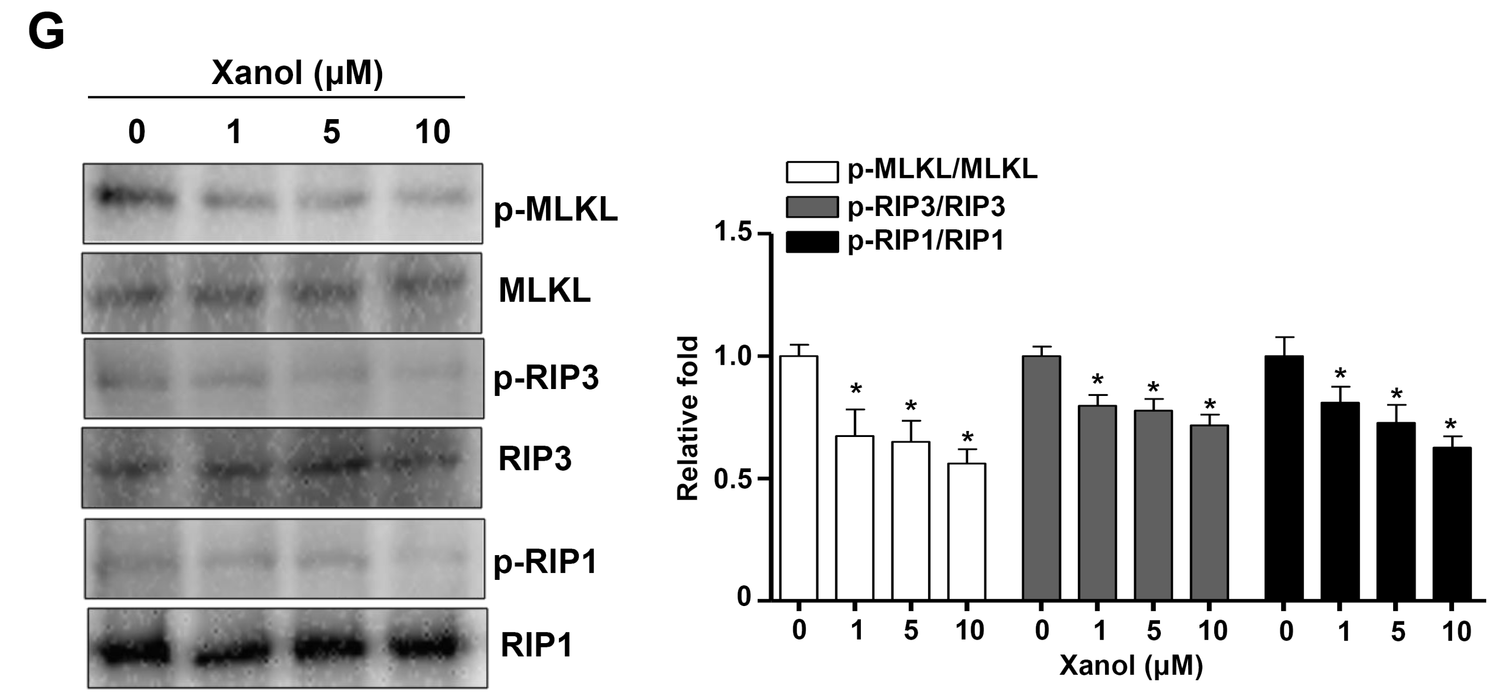 Cells 12 01768 g002b