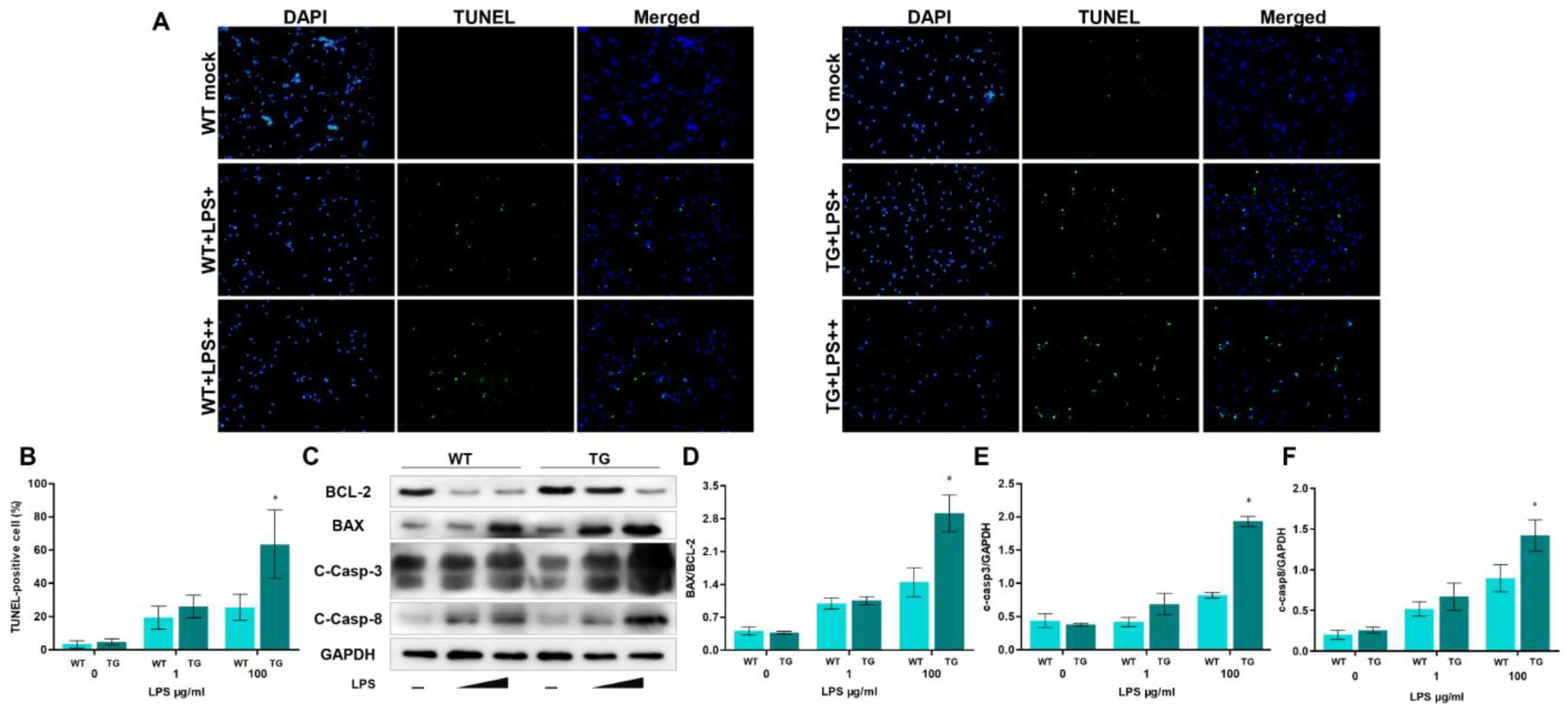 Cells 12 01769 g006 Cells 12 01769 g006