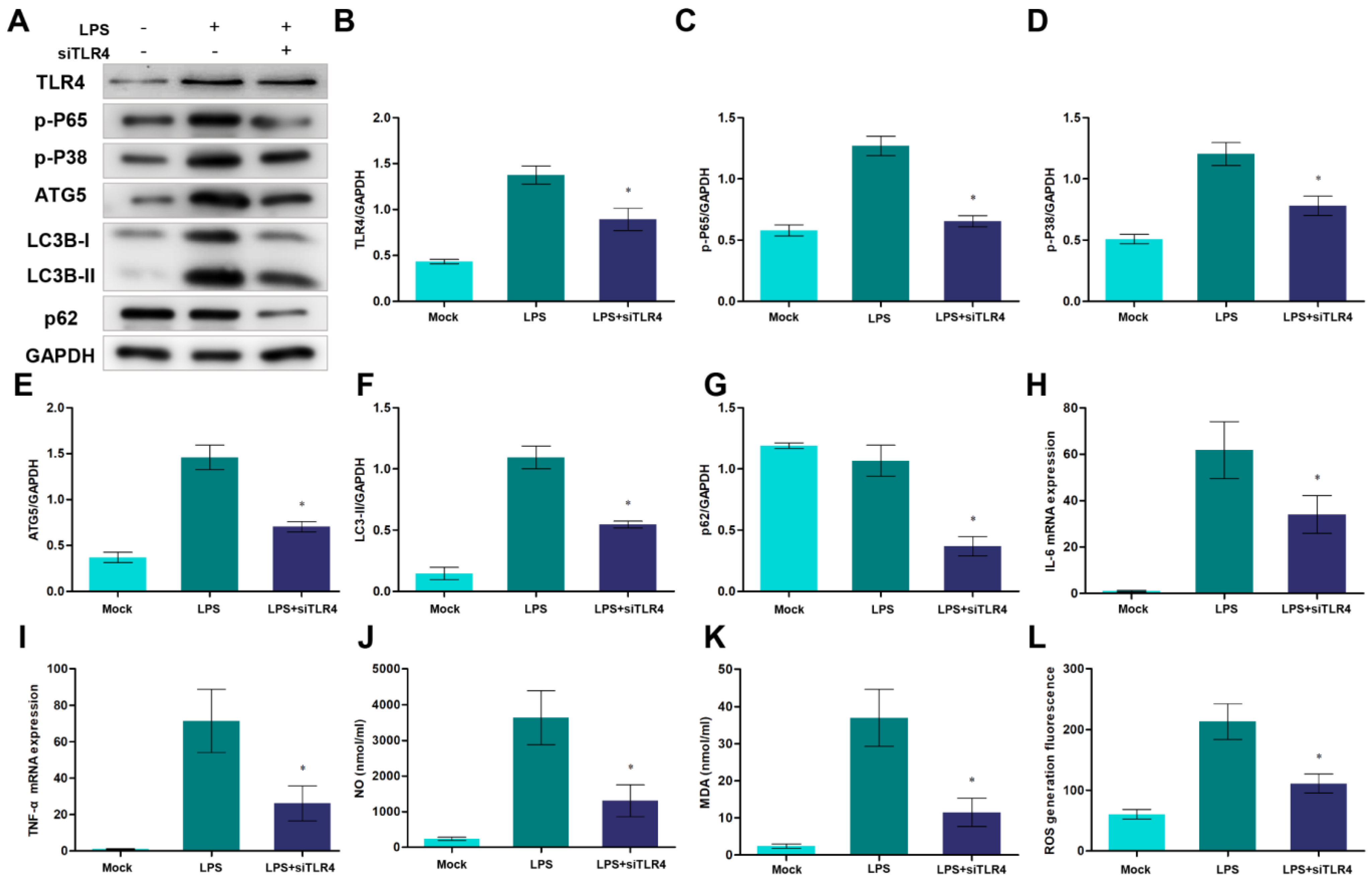 Cells 12 01769 g007 Cells 12 01769 g007