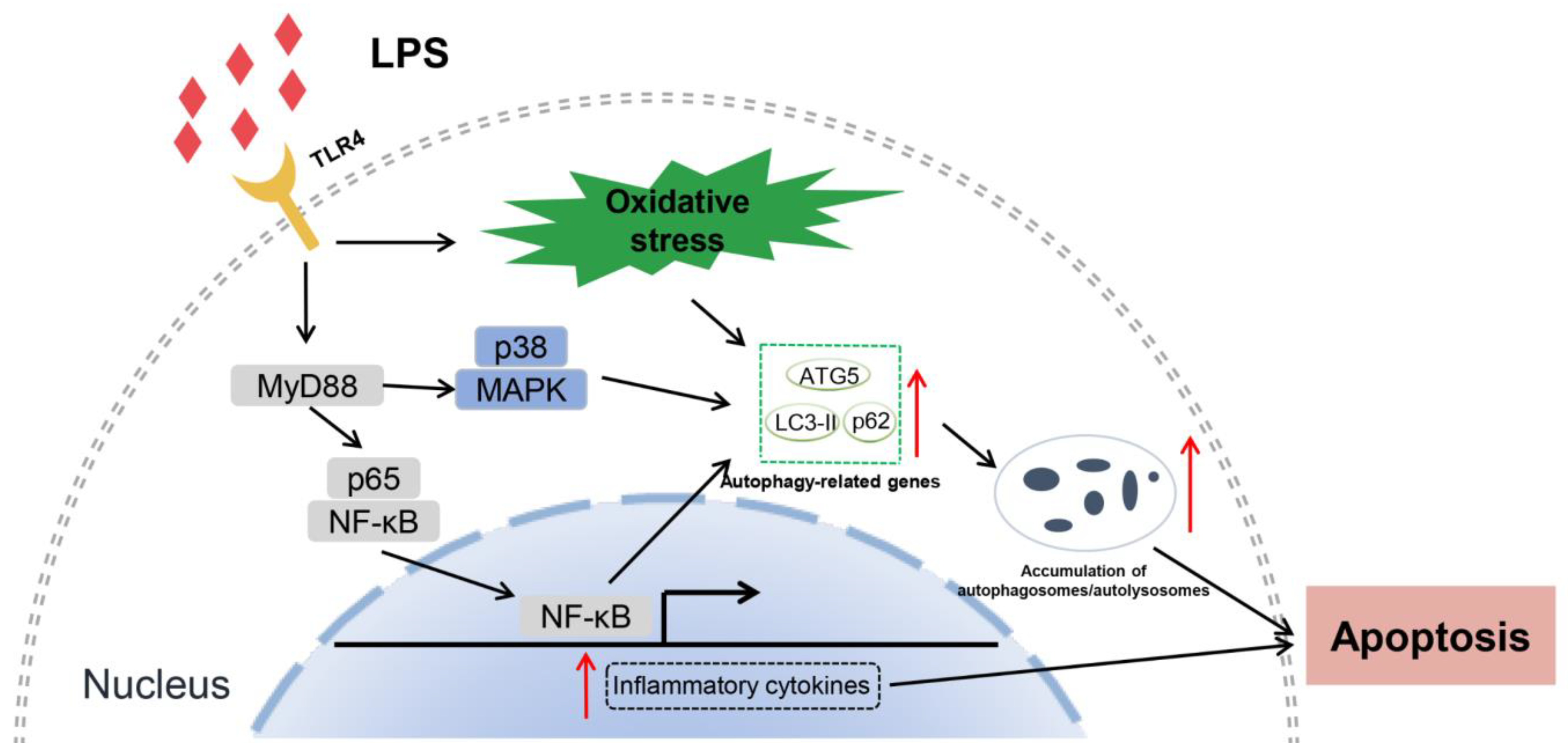 Cells 12 01769 g010 Cells 12 01769 g010