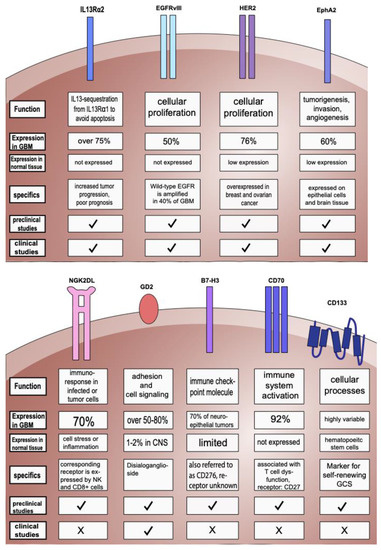Chimeric Antigen Receptor T Cells in Glioblastoma—Current Concepts and ...