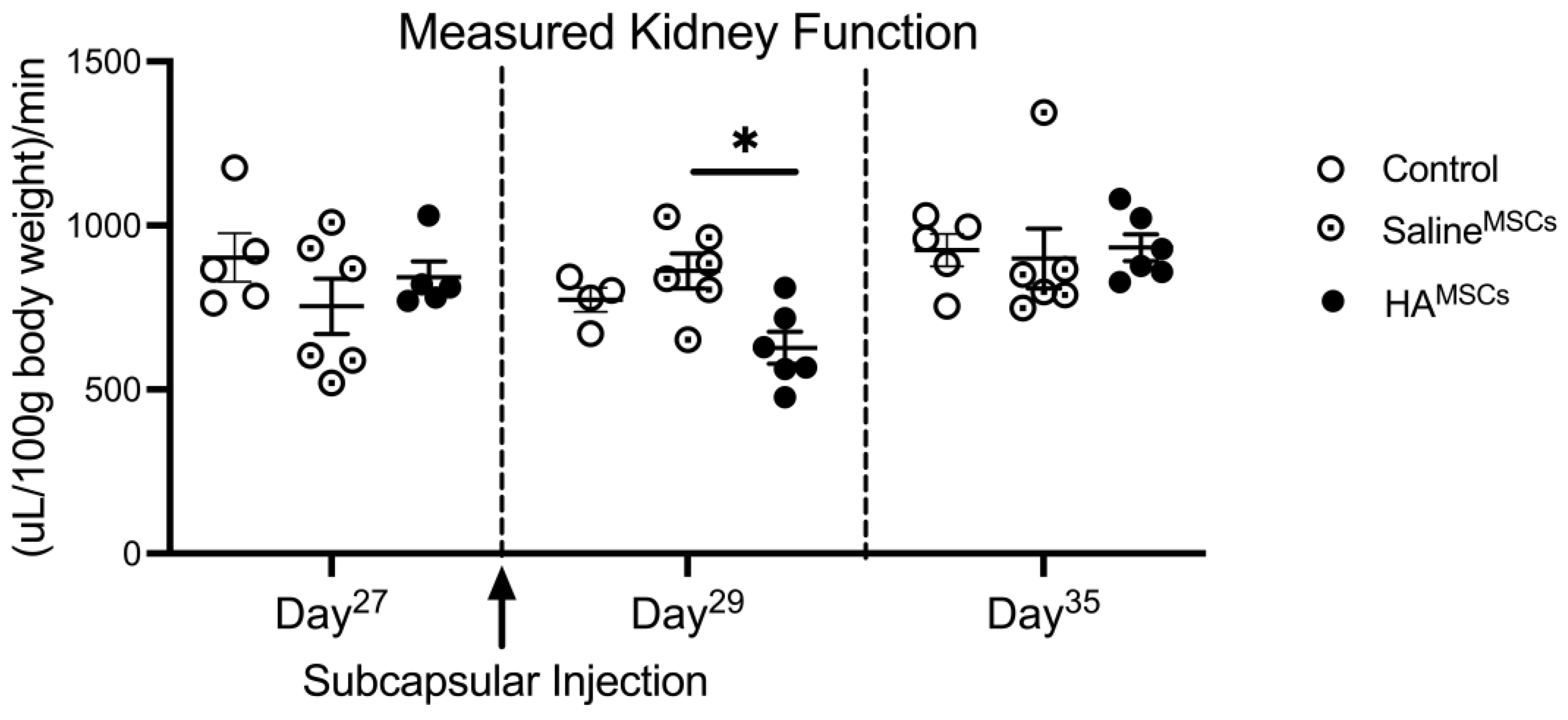 Cells 12 01771 g001 Cells 12 01771 g001