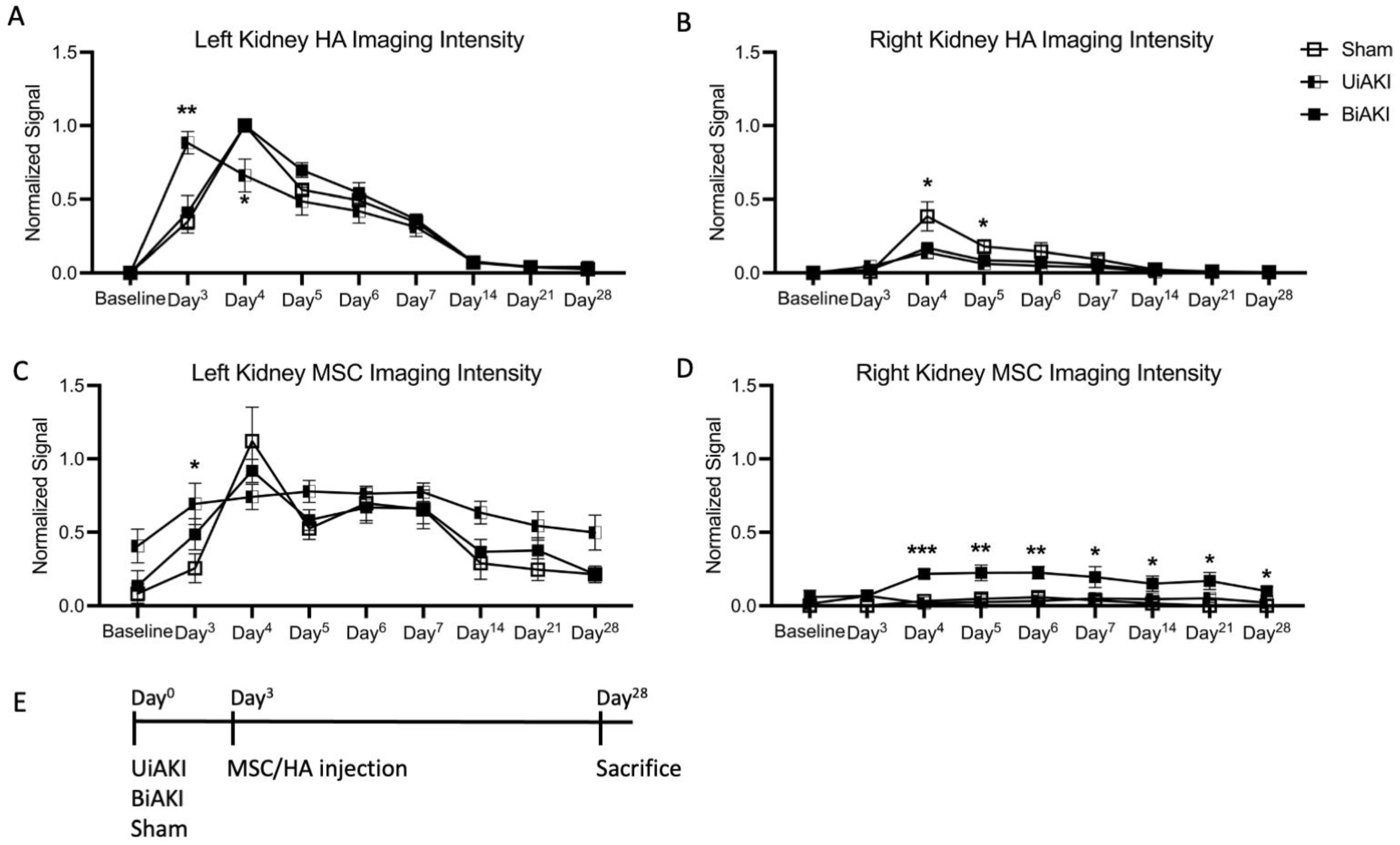 Cells 12 01771 g002 Cells 12 01771 g002