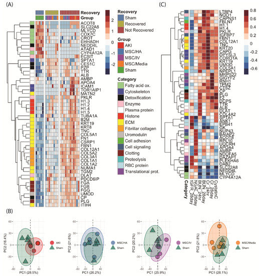 Cells Free FullText Mesenchymal Stem Cells Delivered Locally to