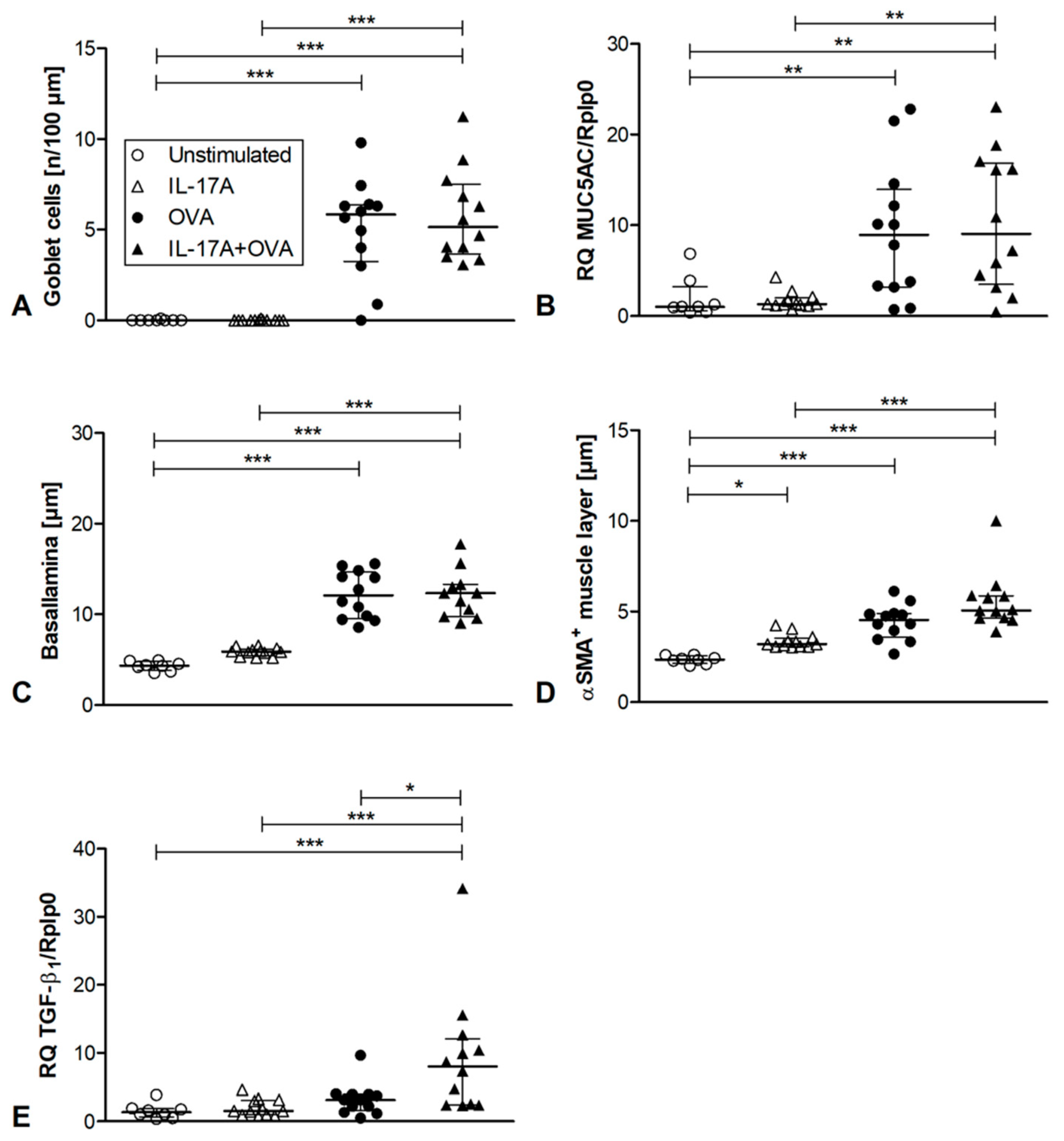 Cells 12 01774 g002 Cells 12 01774 g002