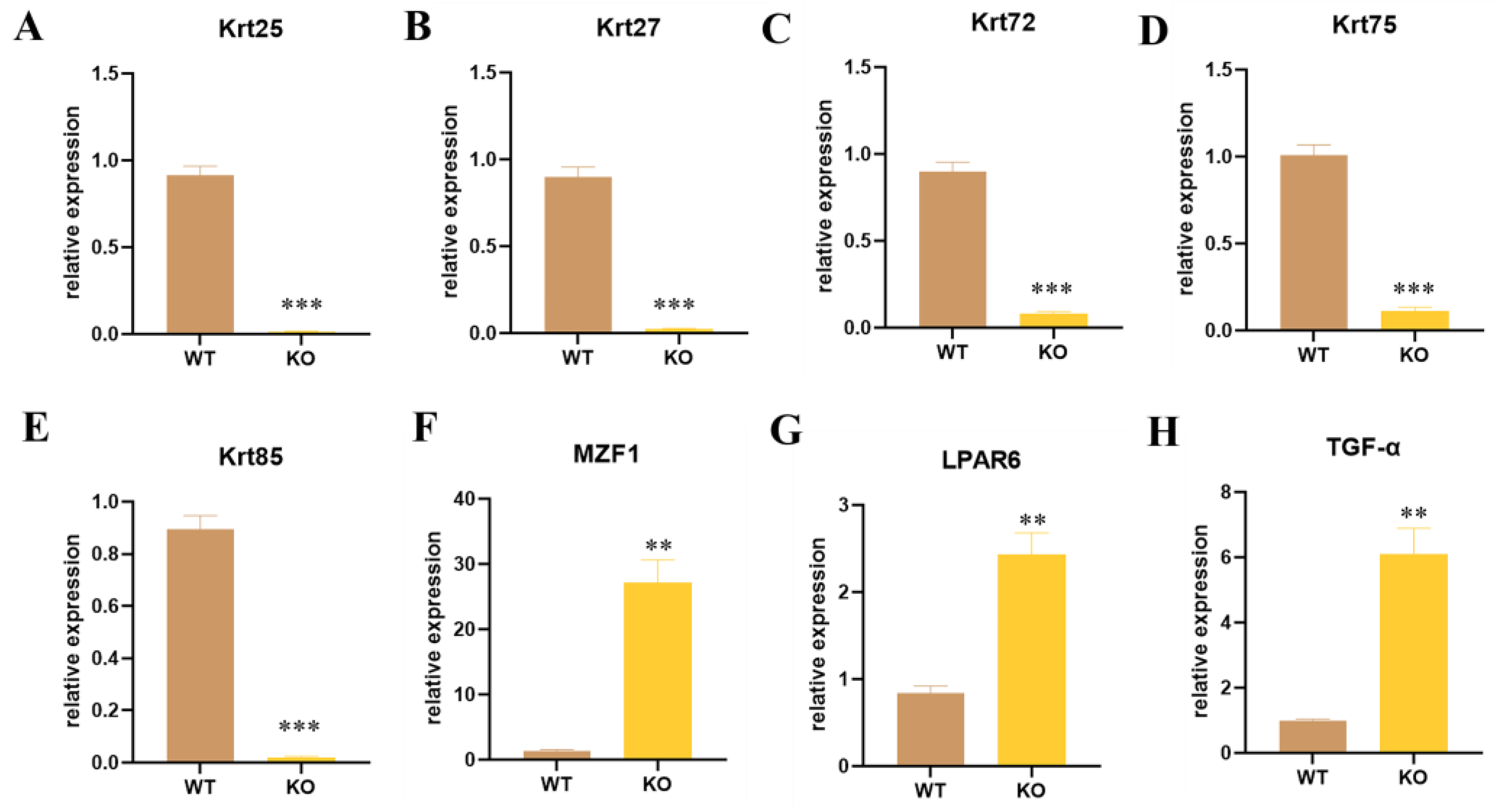 Cells 12 01781 g003 Cells 12 01781 g003