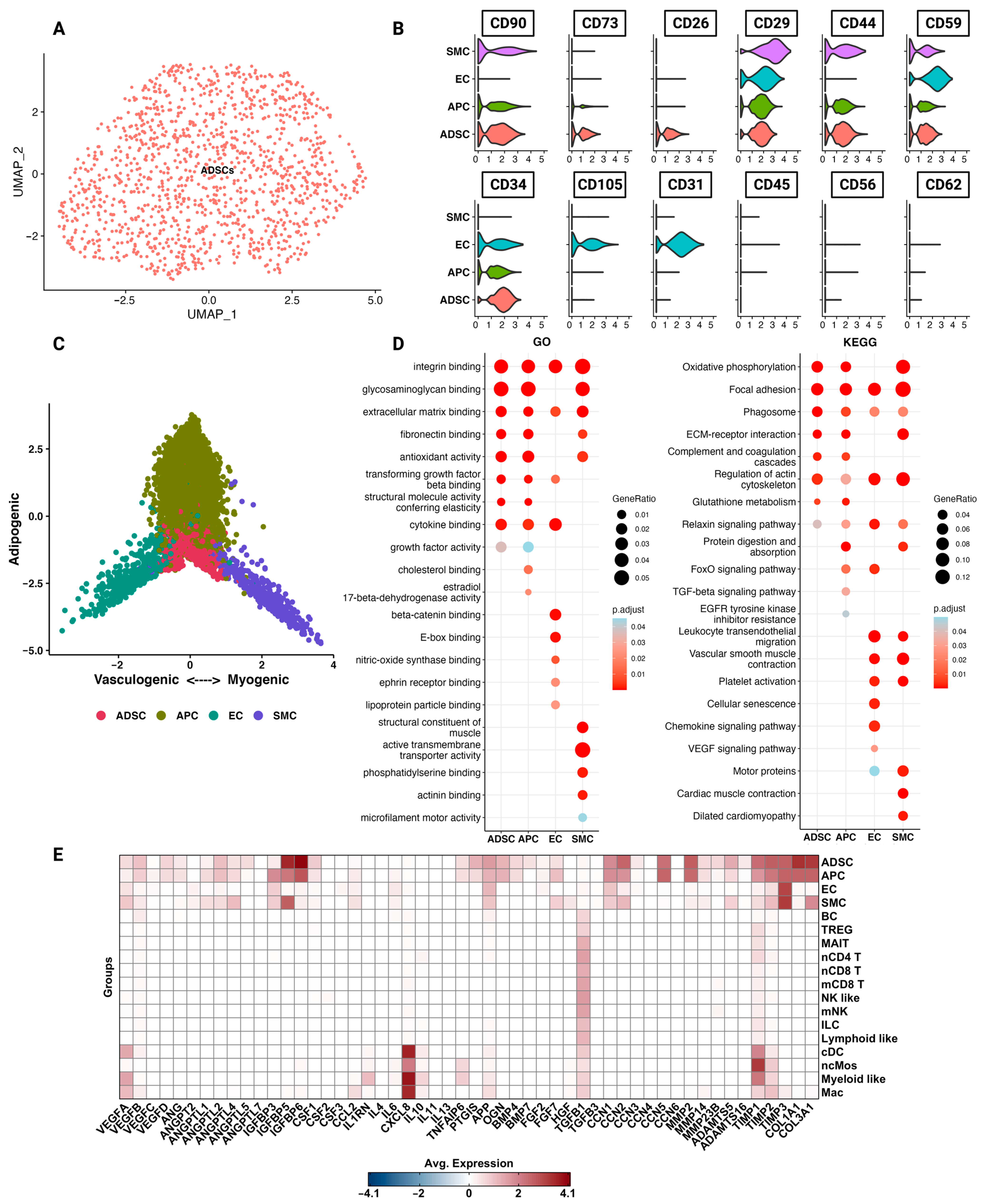 Cells 12 01784 g002 Cells 12 01784 g002
