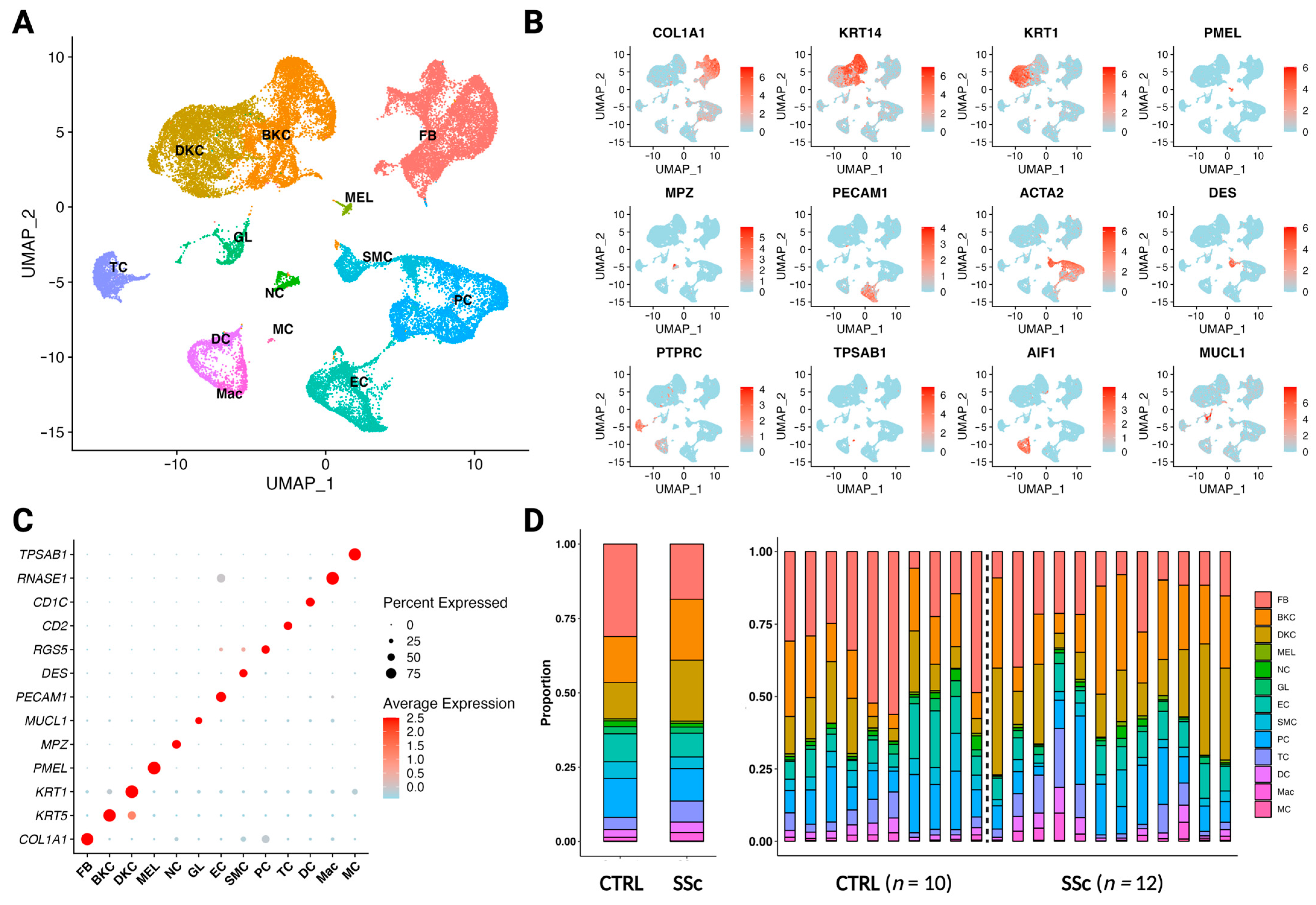 Cells 12 01784 g003 Cells 12 01784 g003