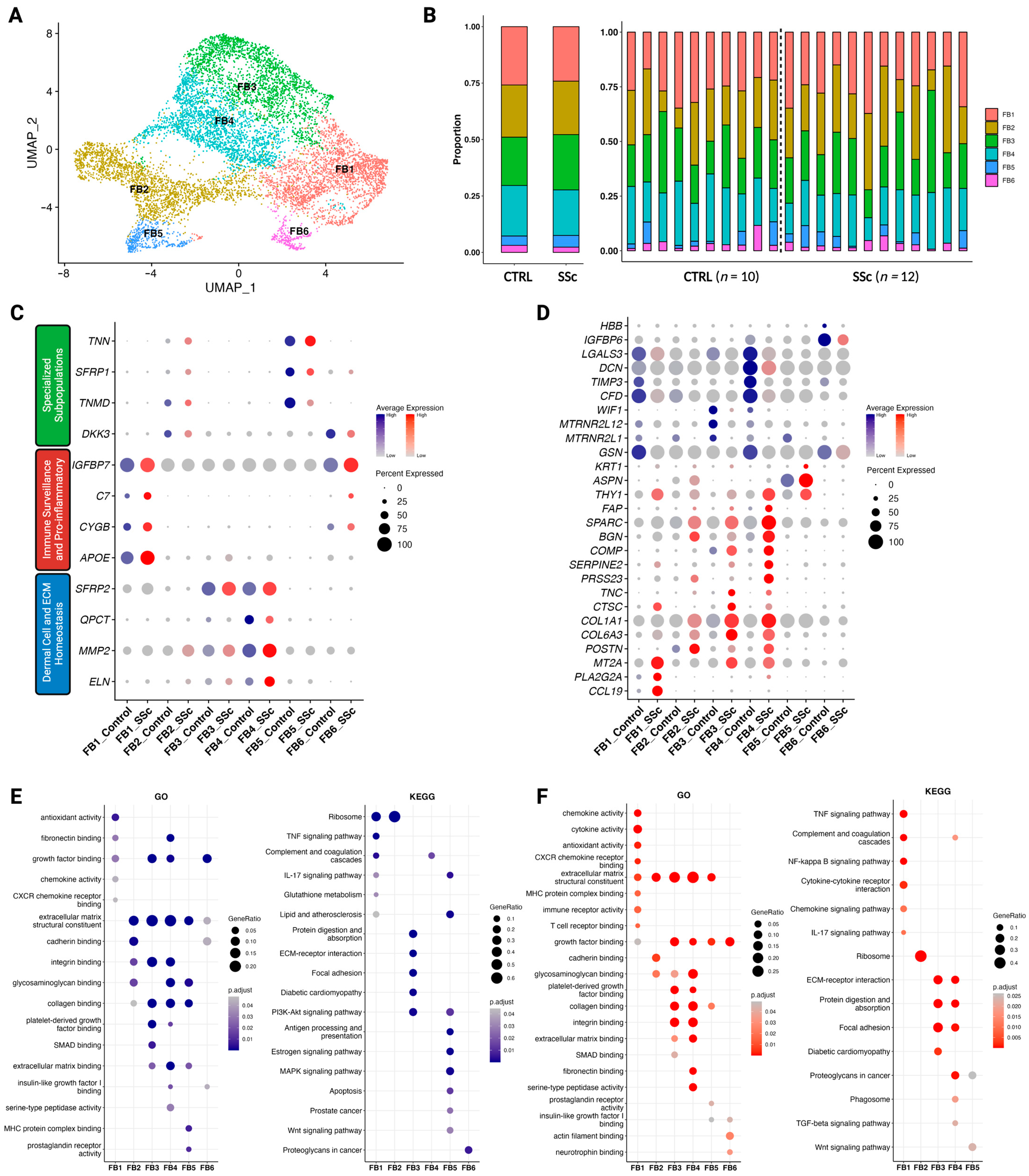 Cells 12 01784 g004 Cells 12 01784 g004