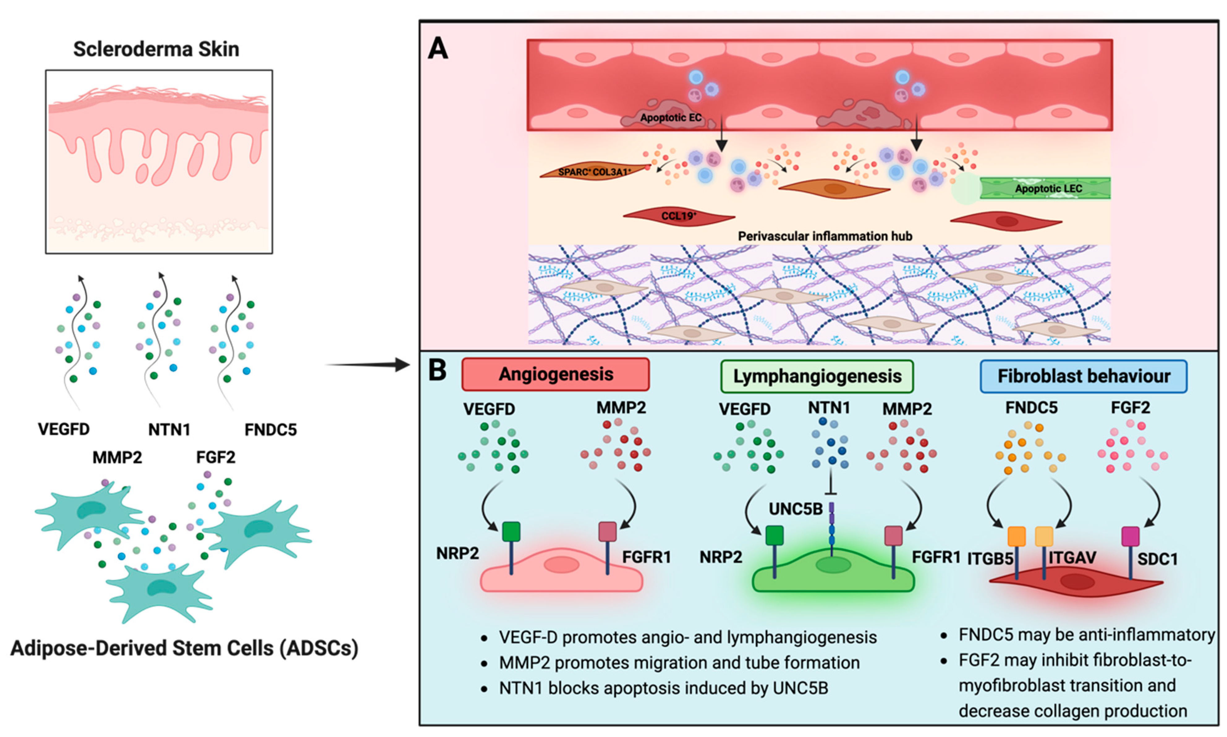 Cells 12 01784 g008 Cells 12 01784 g008