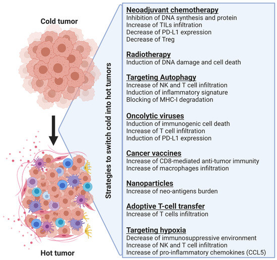 Cells Free FullText Lighting Up the Fire in the Microenvironment of Cold Tumors A Major