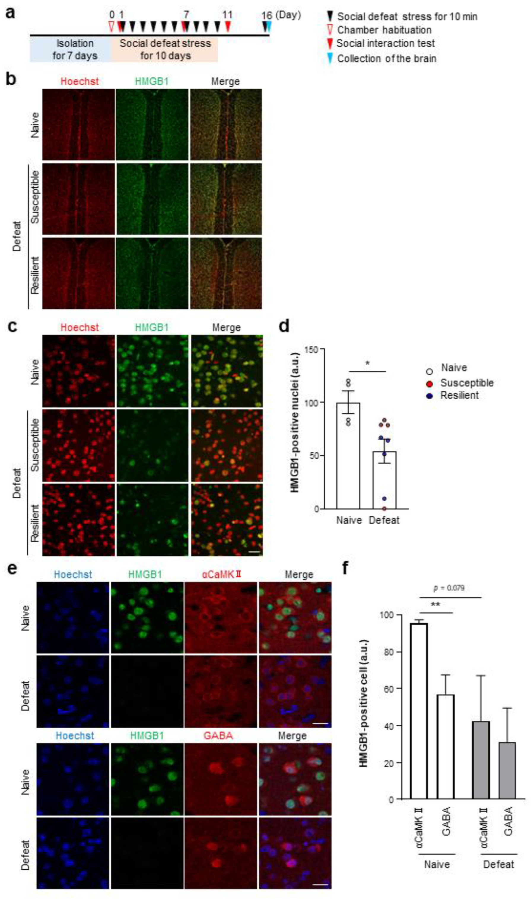 Cells 12 01789 g005 Cells 12 01789 g005
