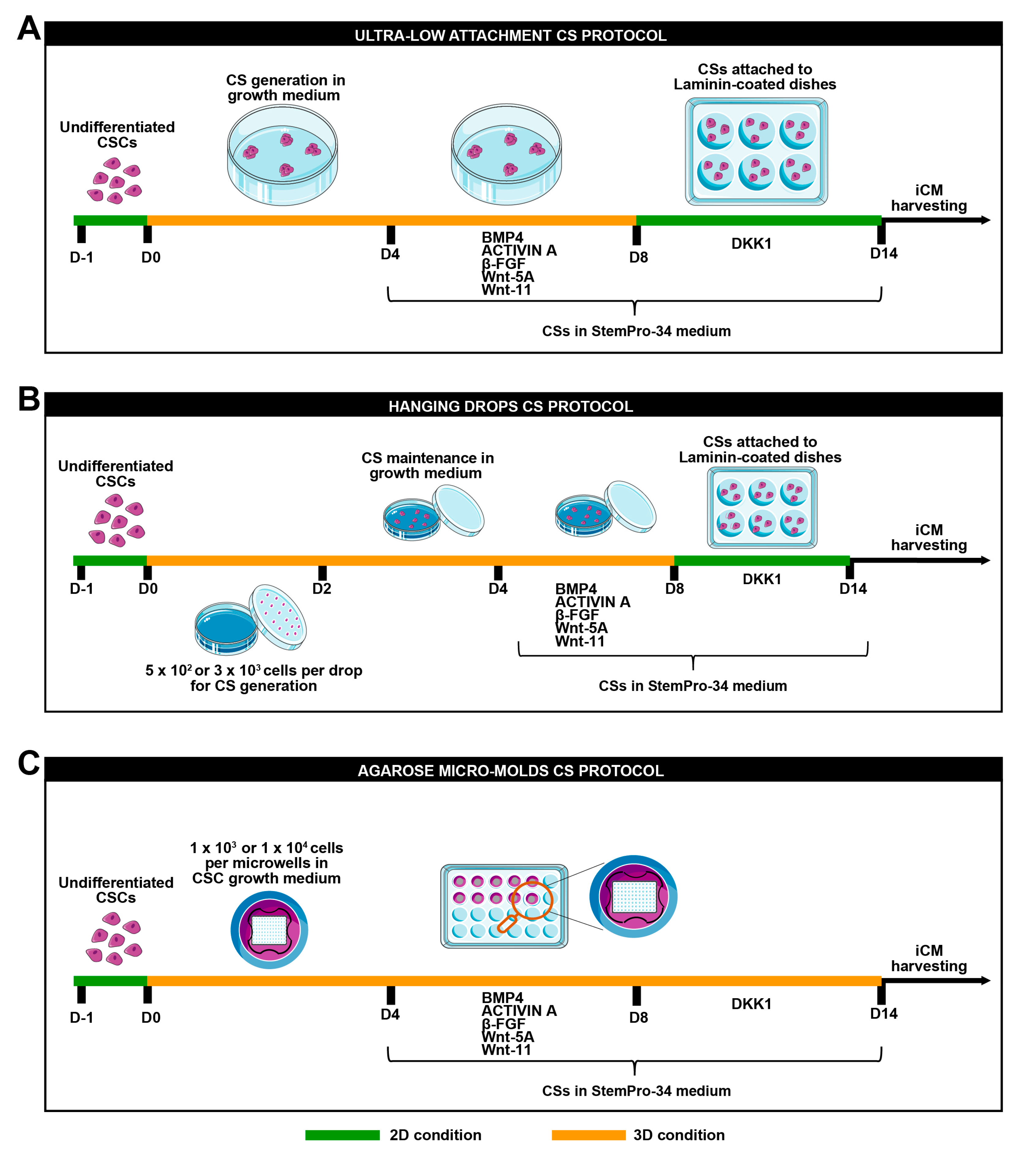 Cells 12 01793 g001 Cells 12 01793 g001
