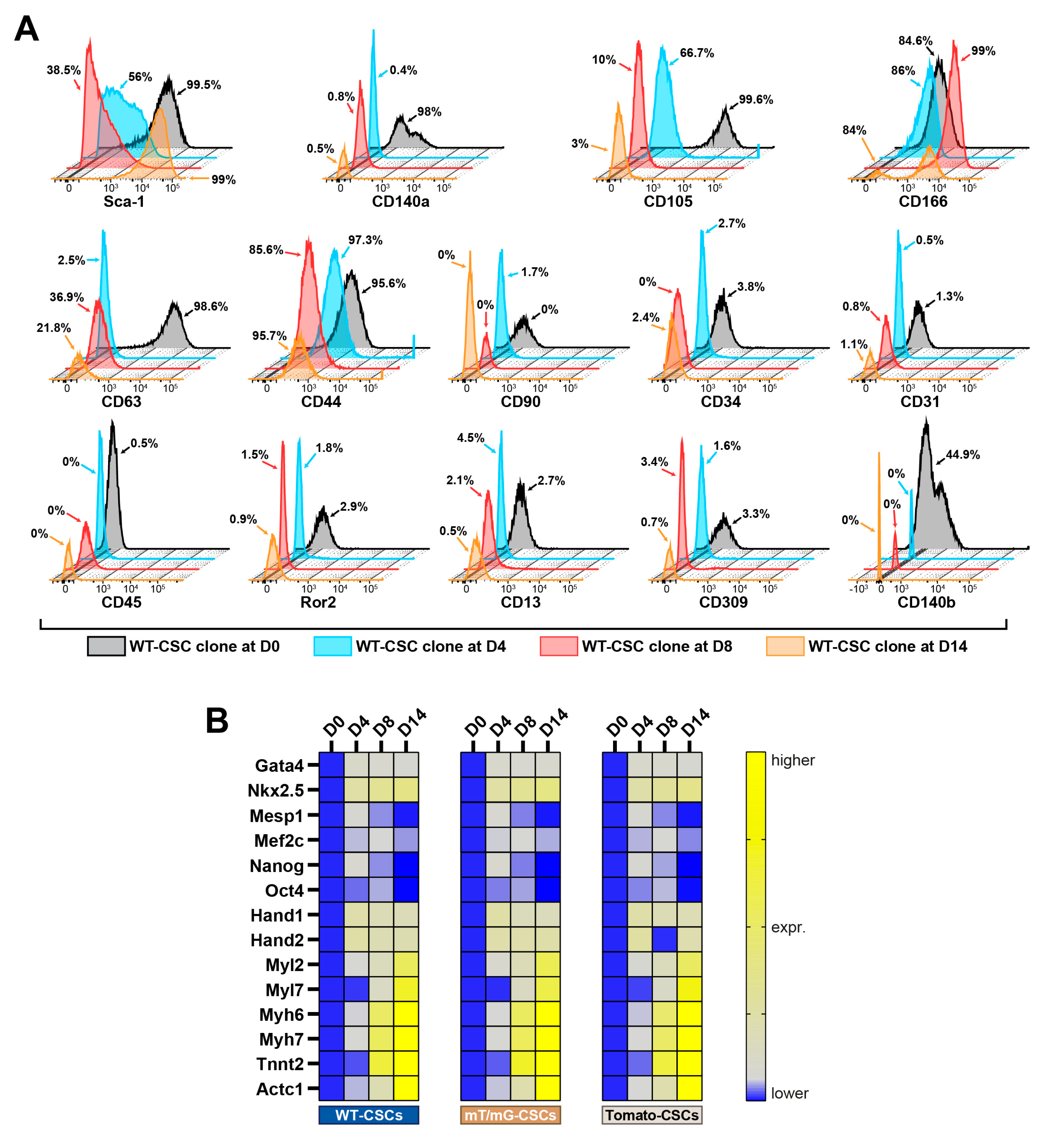 Cells 12 01793 g002 Cells 12 01793 g002
