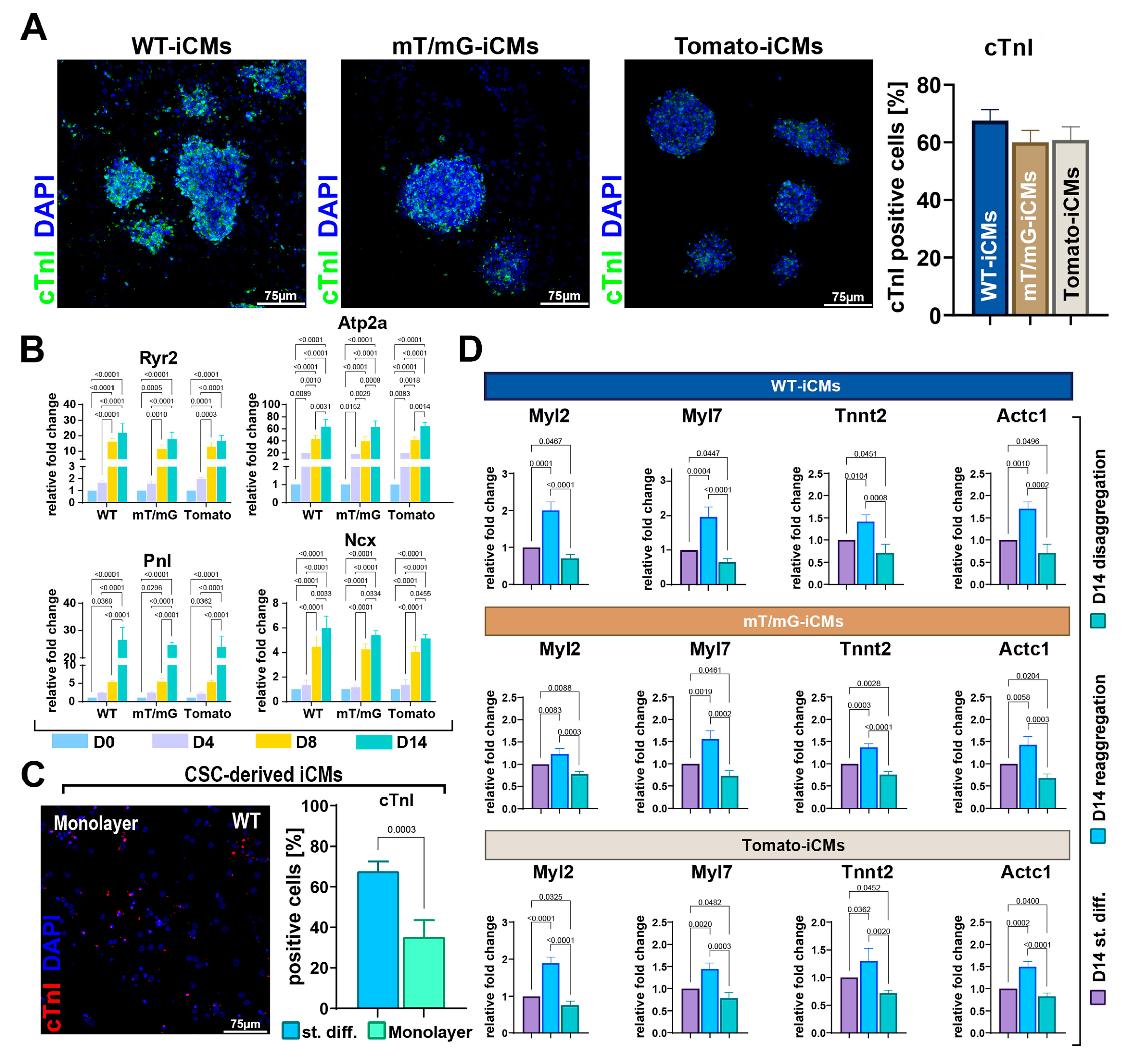 Cells 12 01793 g003 Cells 12 01793 g003