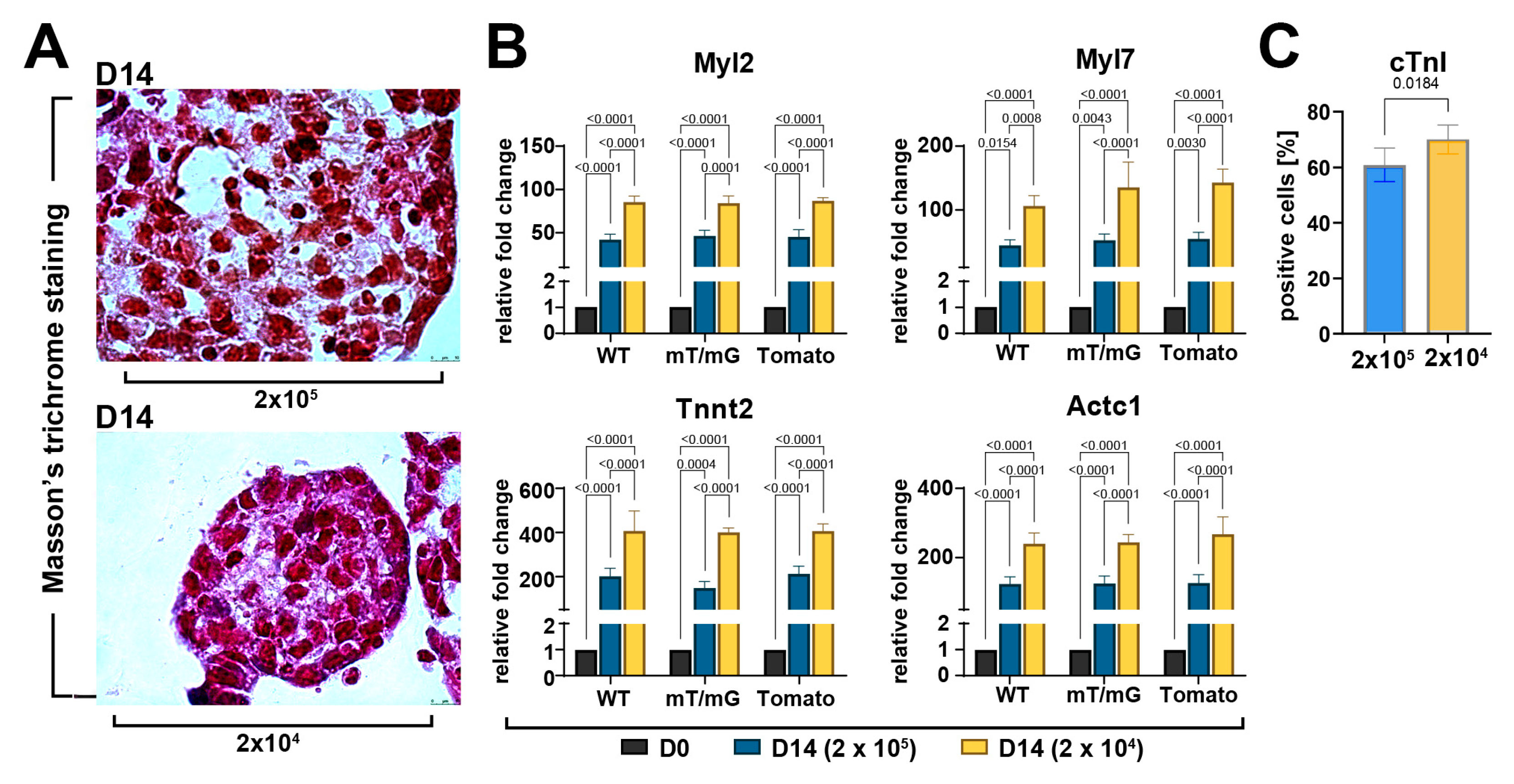 Cells 12 01793 g005 Cells 12 01793 g005