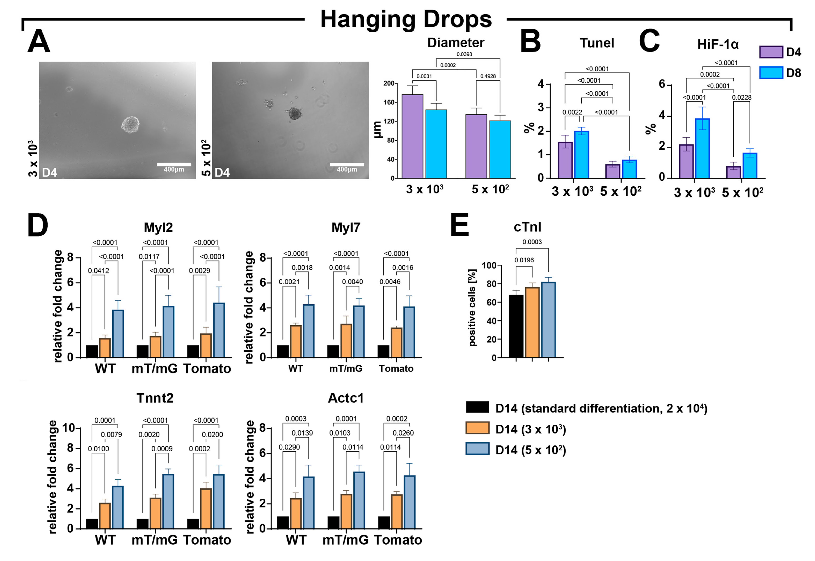 Cells 12 01793 g006 Cells 12 01793 g006