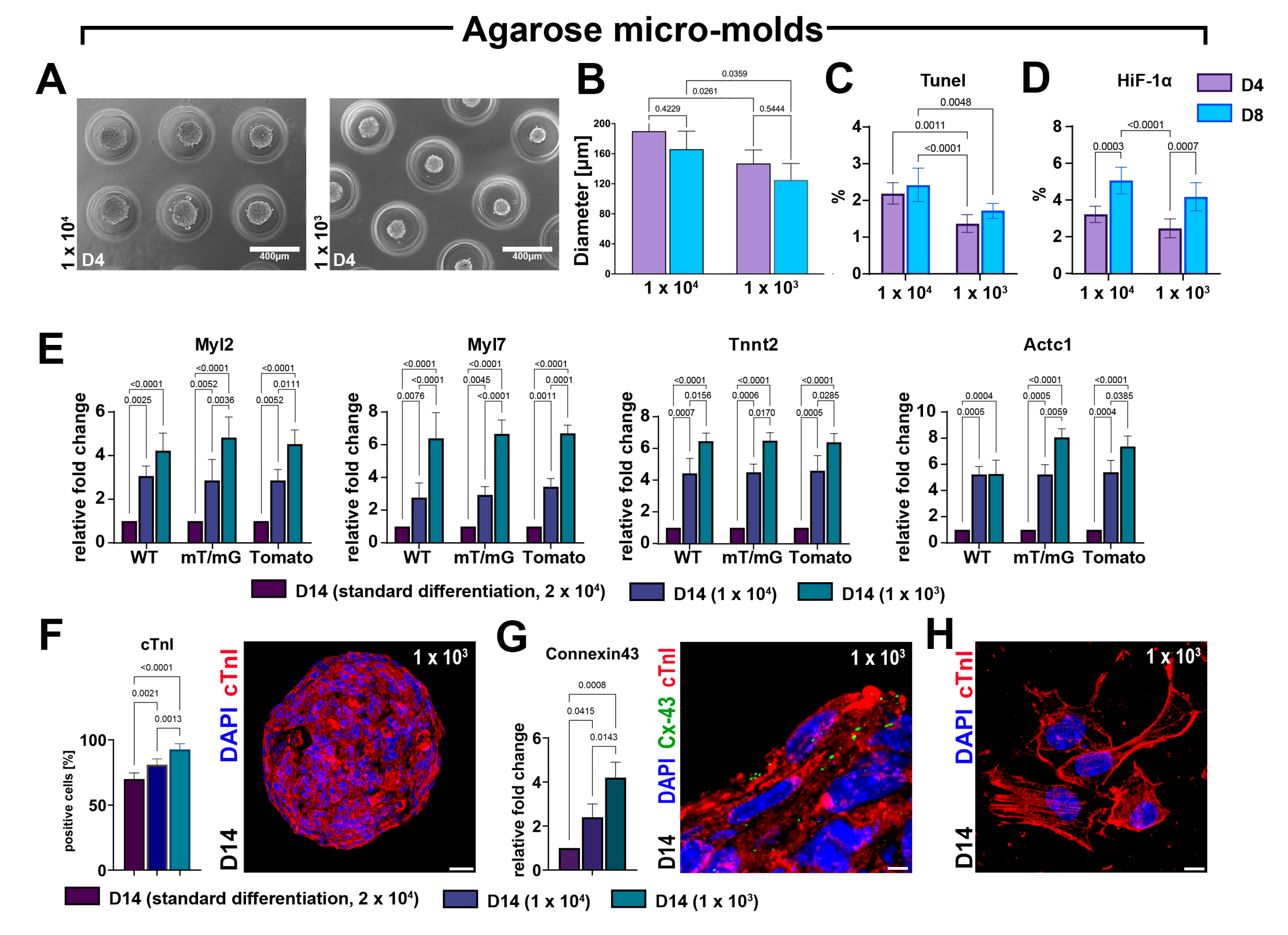 Cells 12 01793 g007 Cells 12 01793 g007