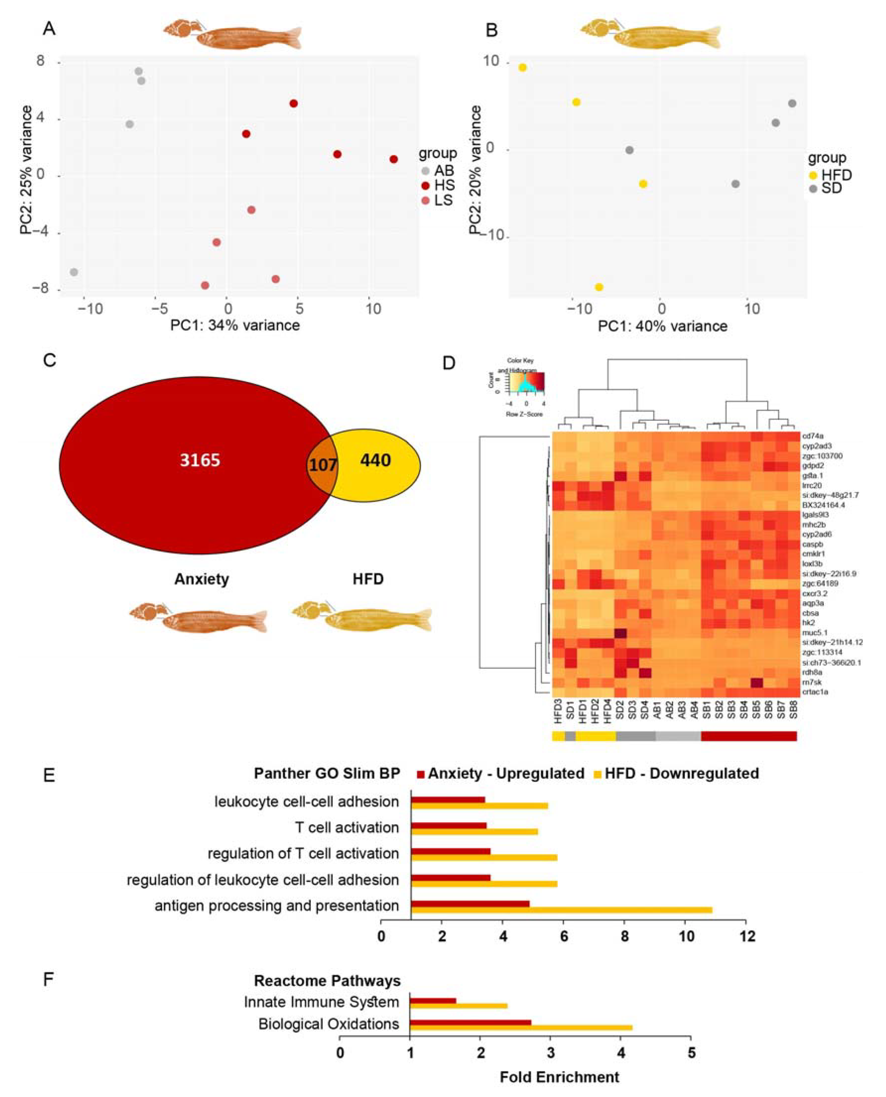 Cells 12 01794 g008 Cells 12 01794 g008