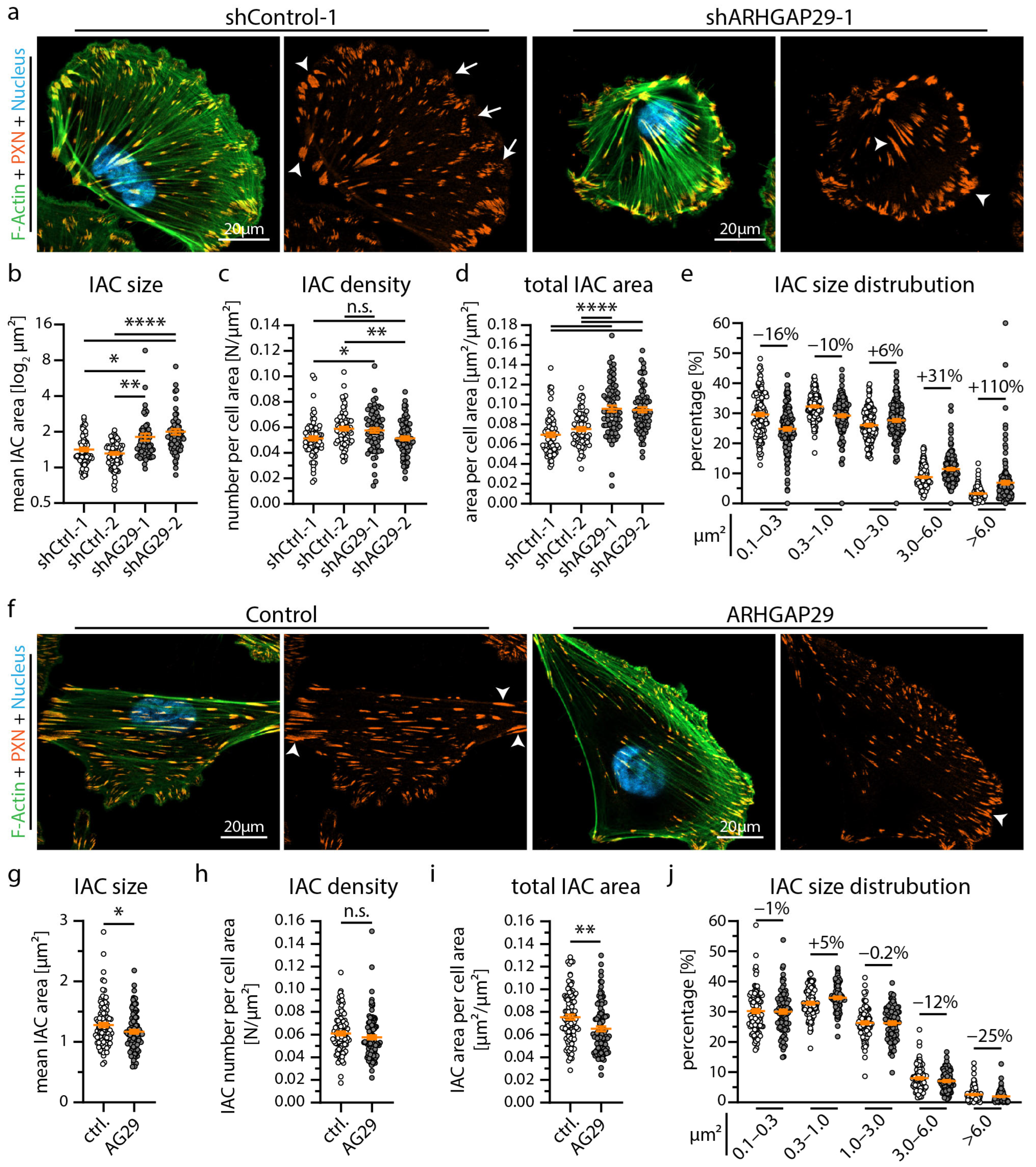 Cells 12 01795 g005 Cells 12 01795 g005