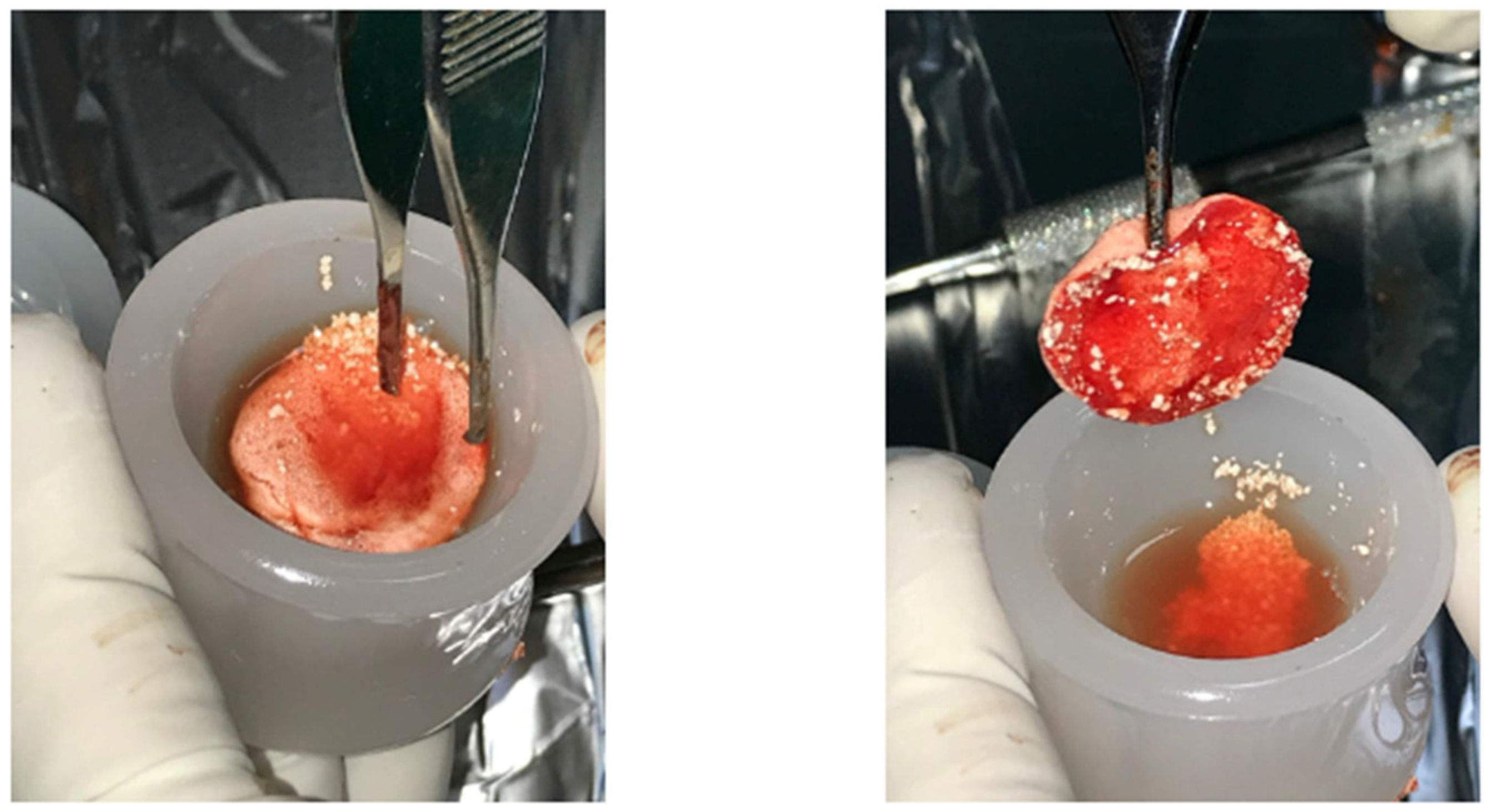 Cells 12 01797 g001 Cells 12 01797 g001