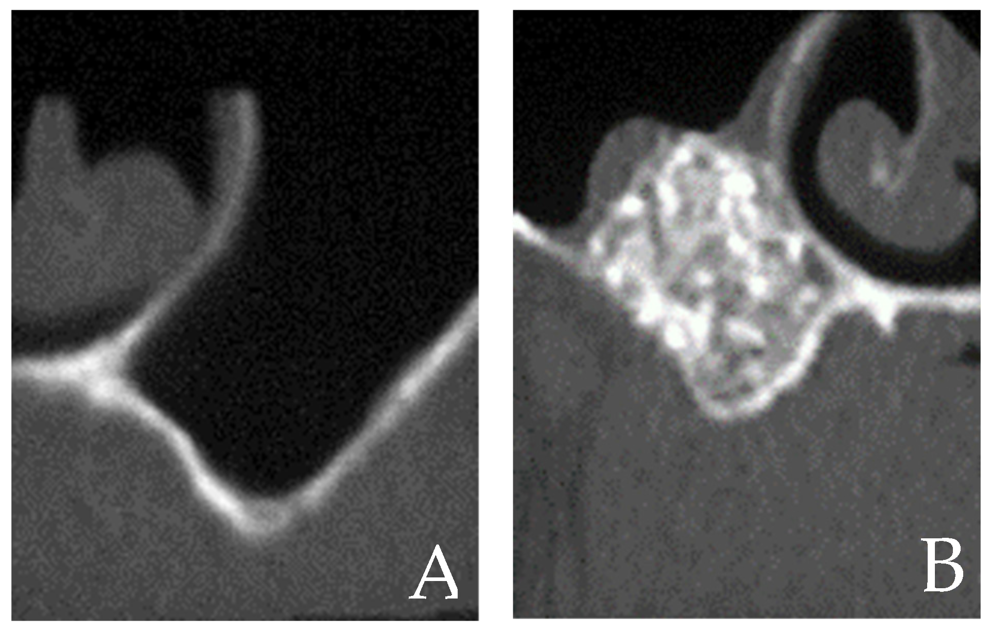 Cells 12 01797 g004 Cells 12 01797 g004