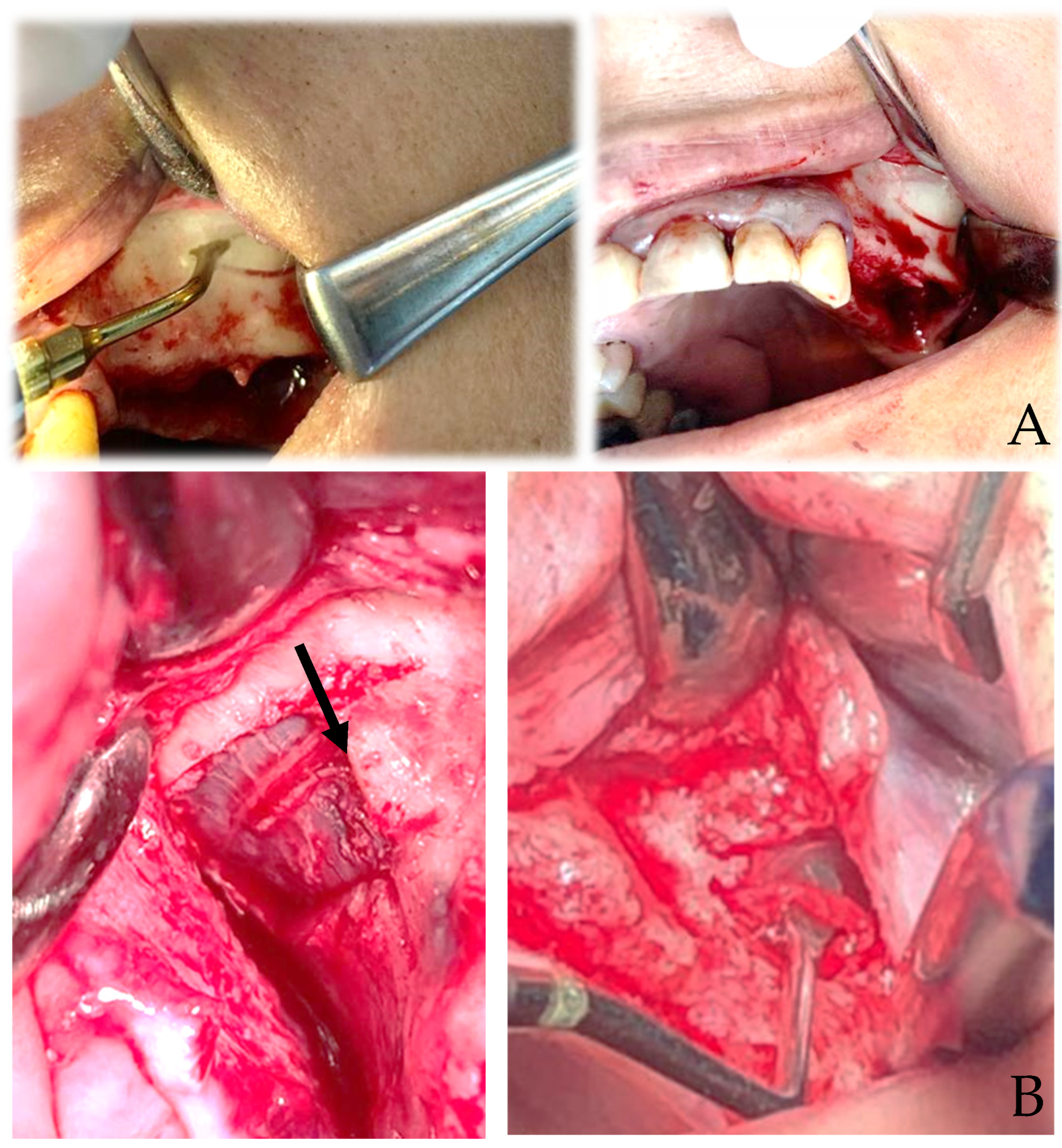 Cells 12 01797 g005 Cells 12 01797 g005