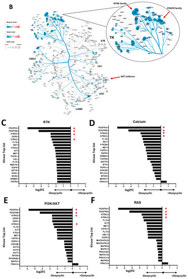 SHIP1 Is Present but Strongly Downregulated in T-ALL, and