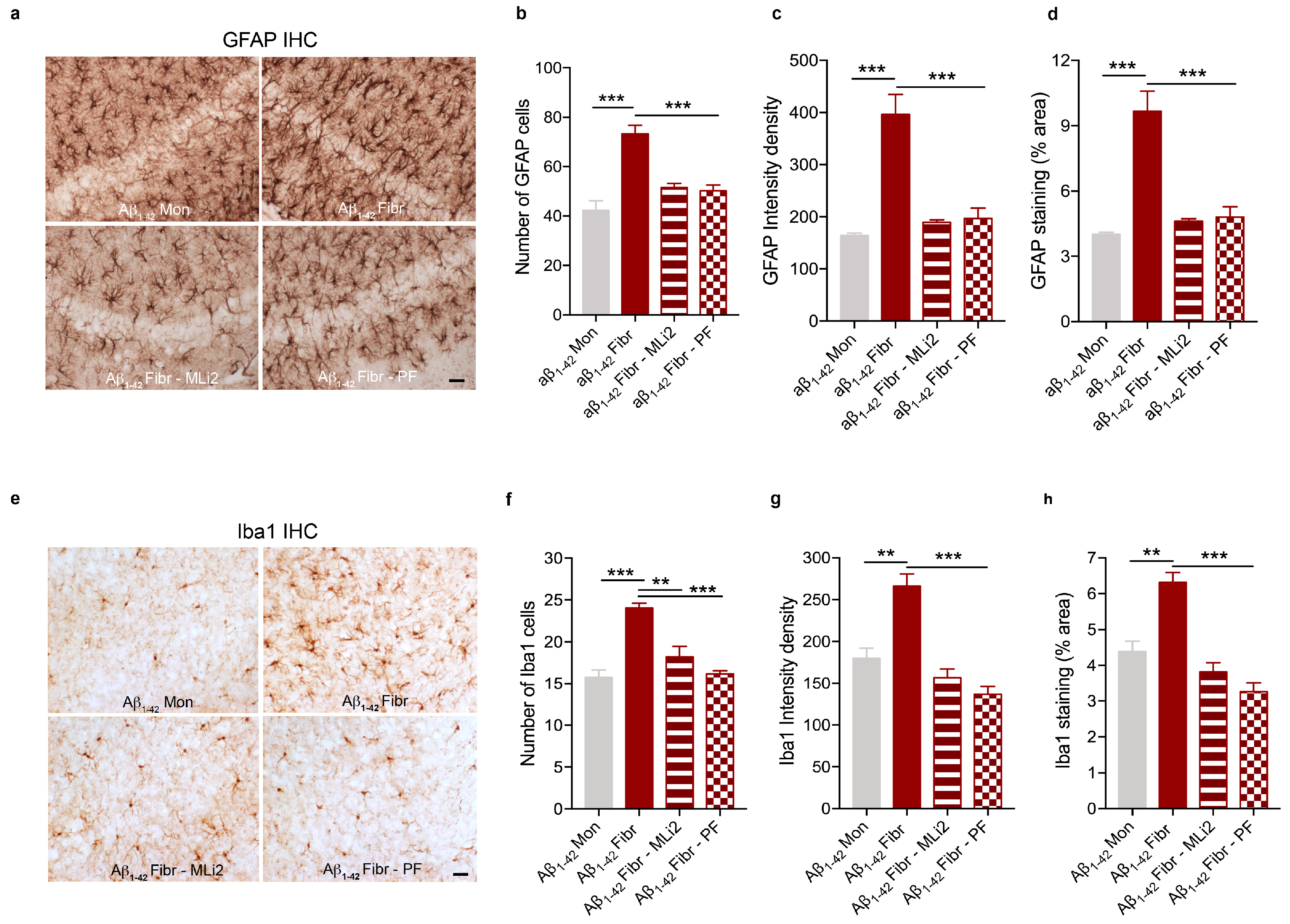 Cells 12 01799 g003 Cells 12 01799 g003