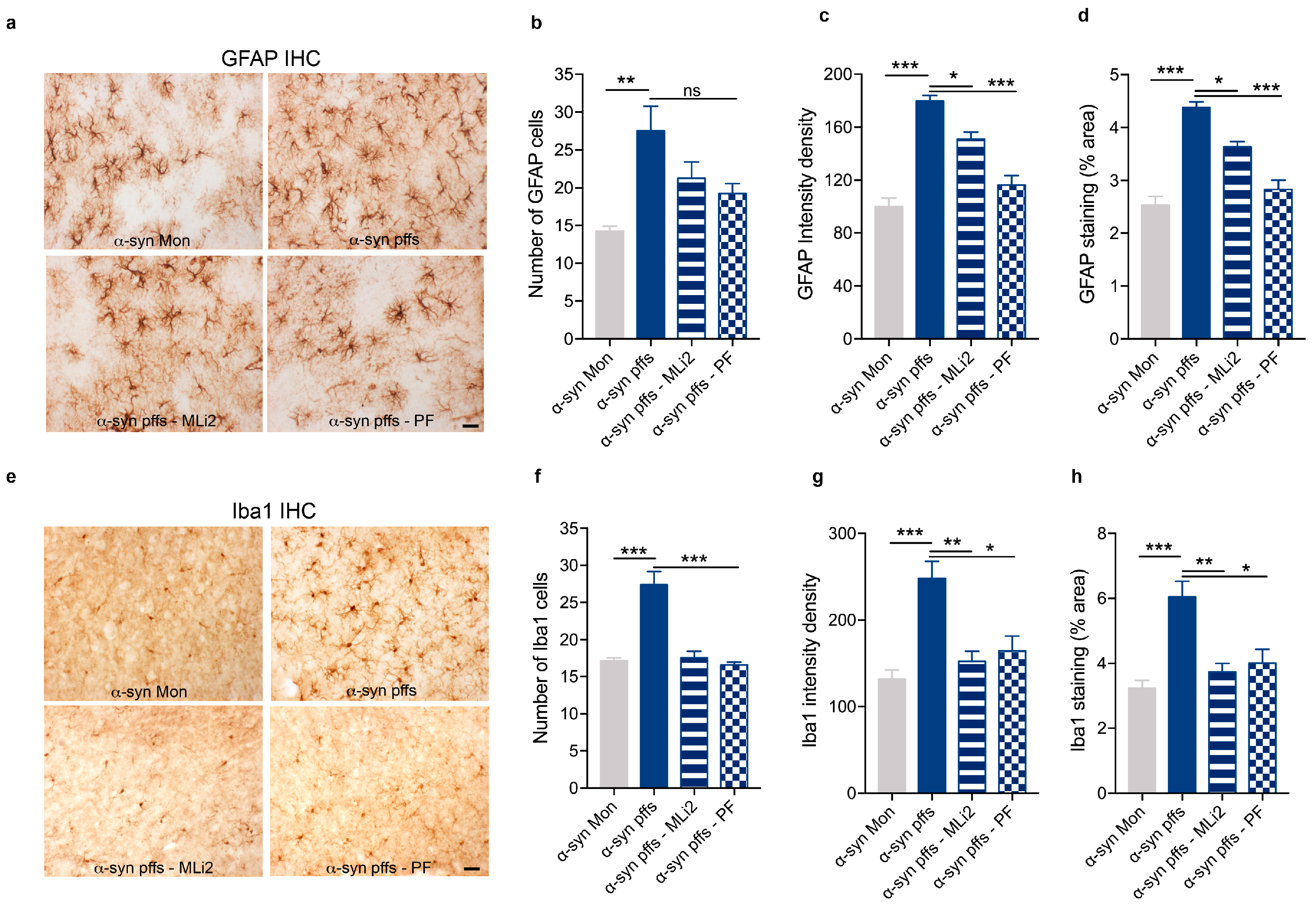 Cells 12 01799 g004 Cells 12 01799 g004