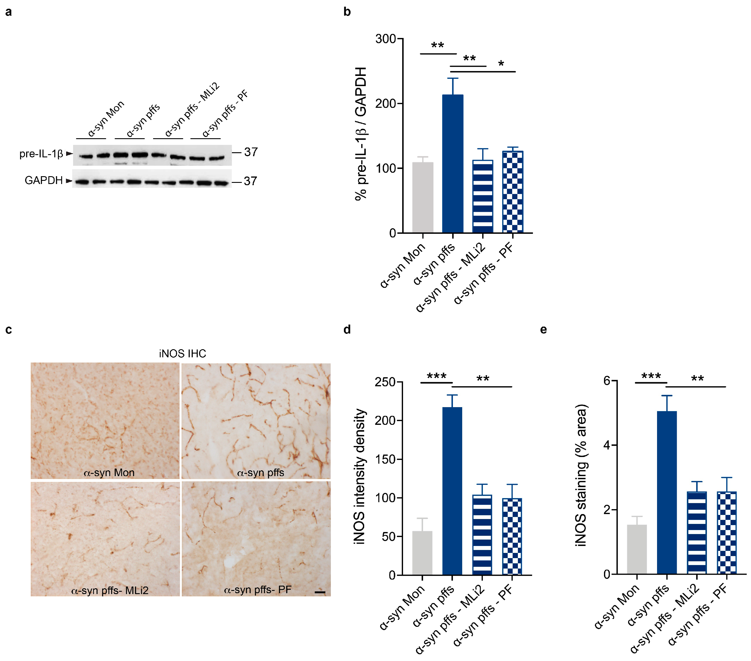 Cells 12 01799 g006 Cells 12 01799 g006