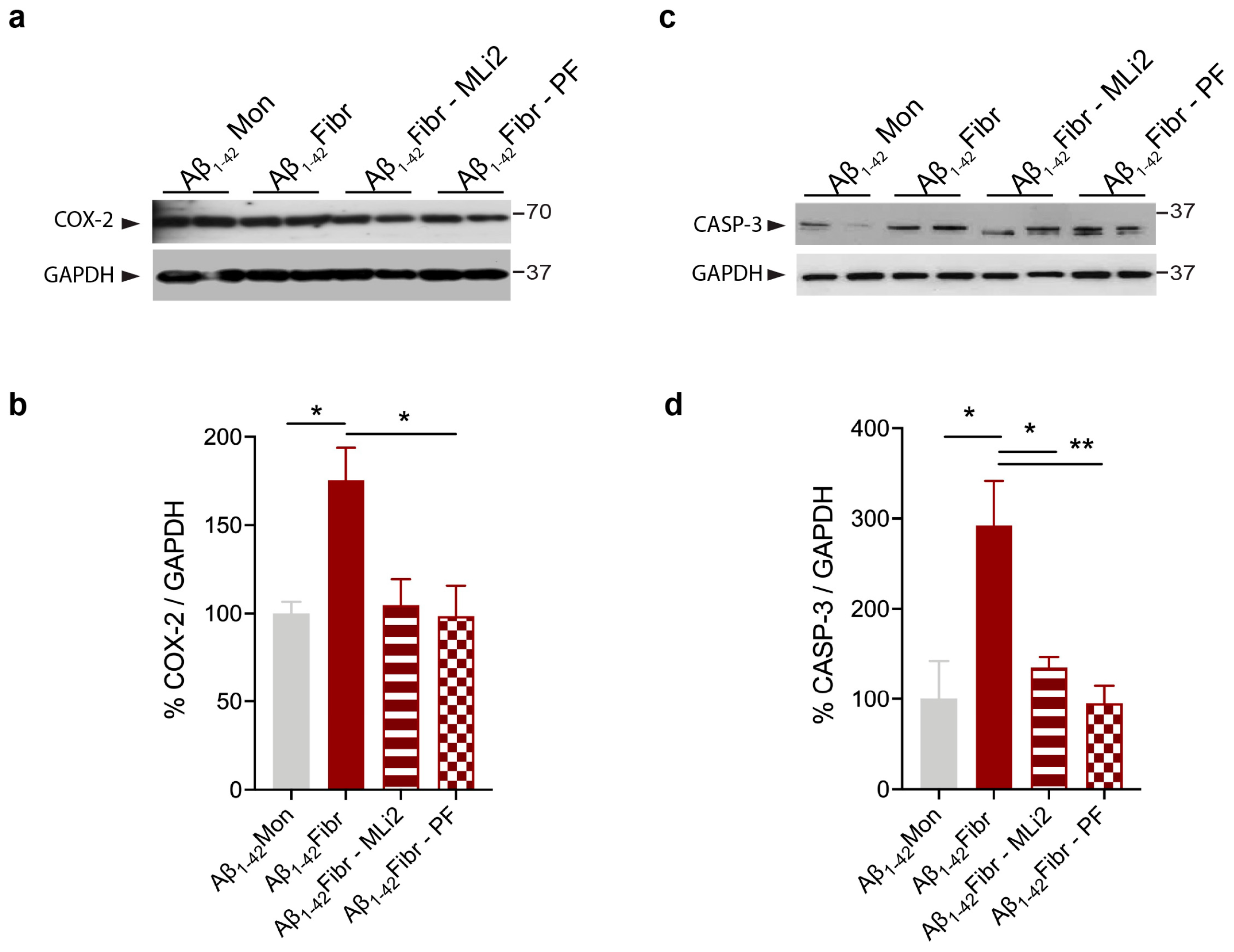 Cells 12 01799 g007 Cells 12 01799 g007