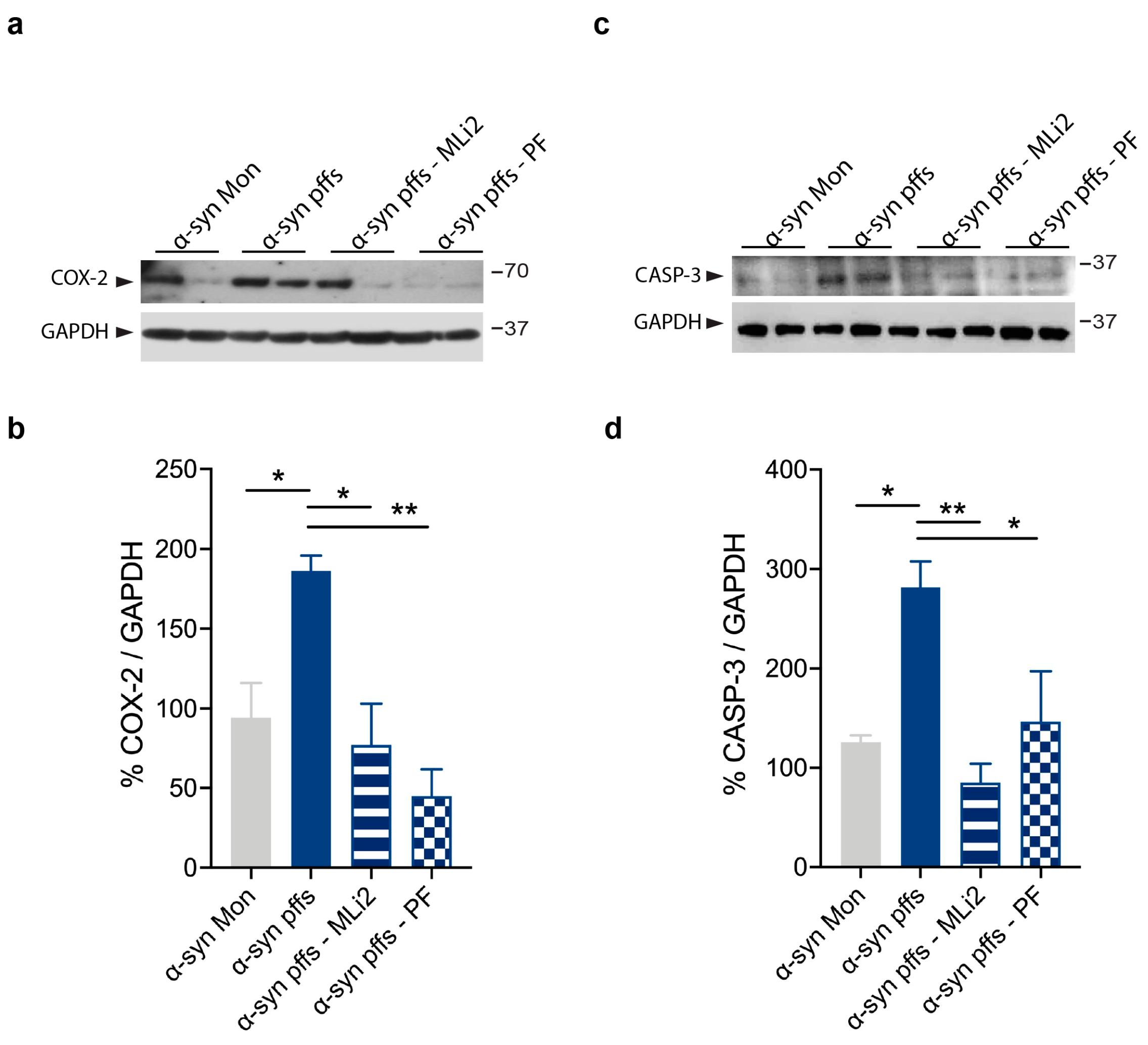 Cells 12 01799 g008 Cells 12 01799 g008