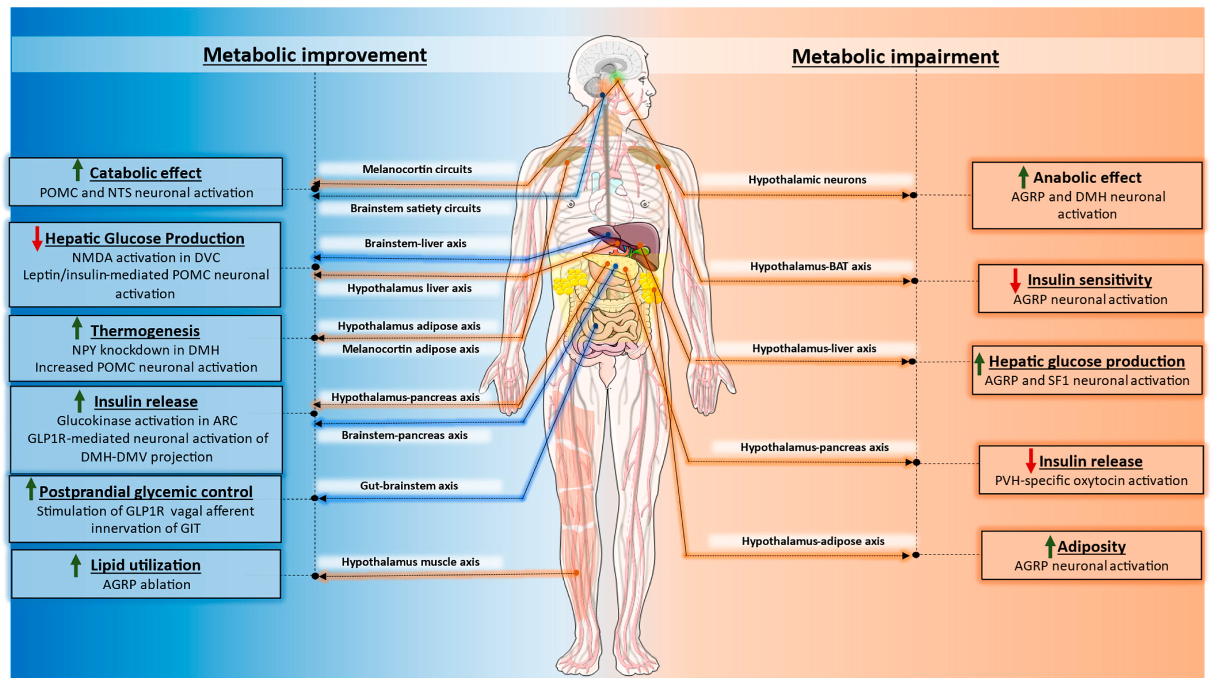 Cells 12 01801 g003 Cells 12 01801 g003