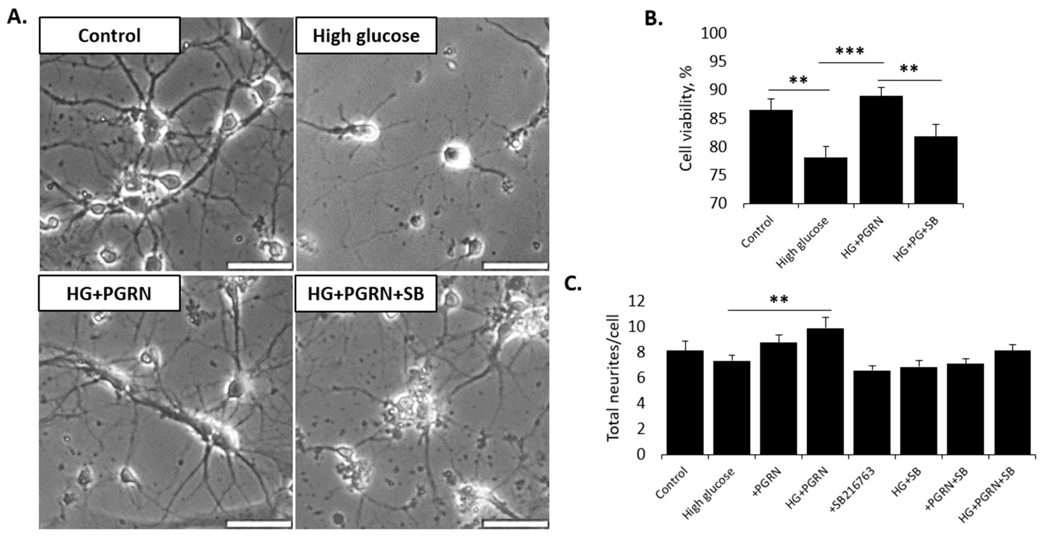 Cells 12 01803 g001 Cells 12 01803 g001